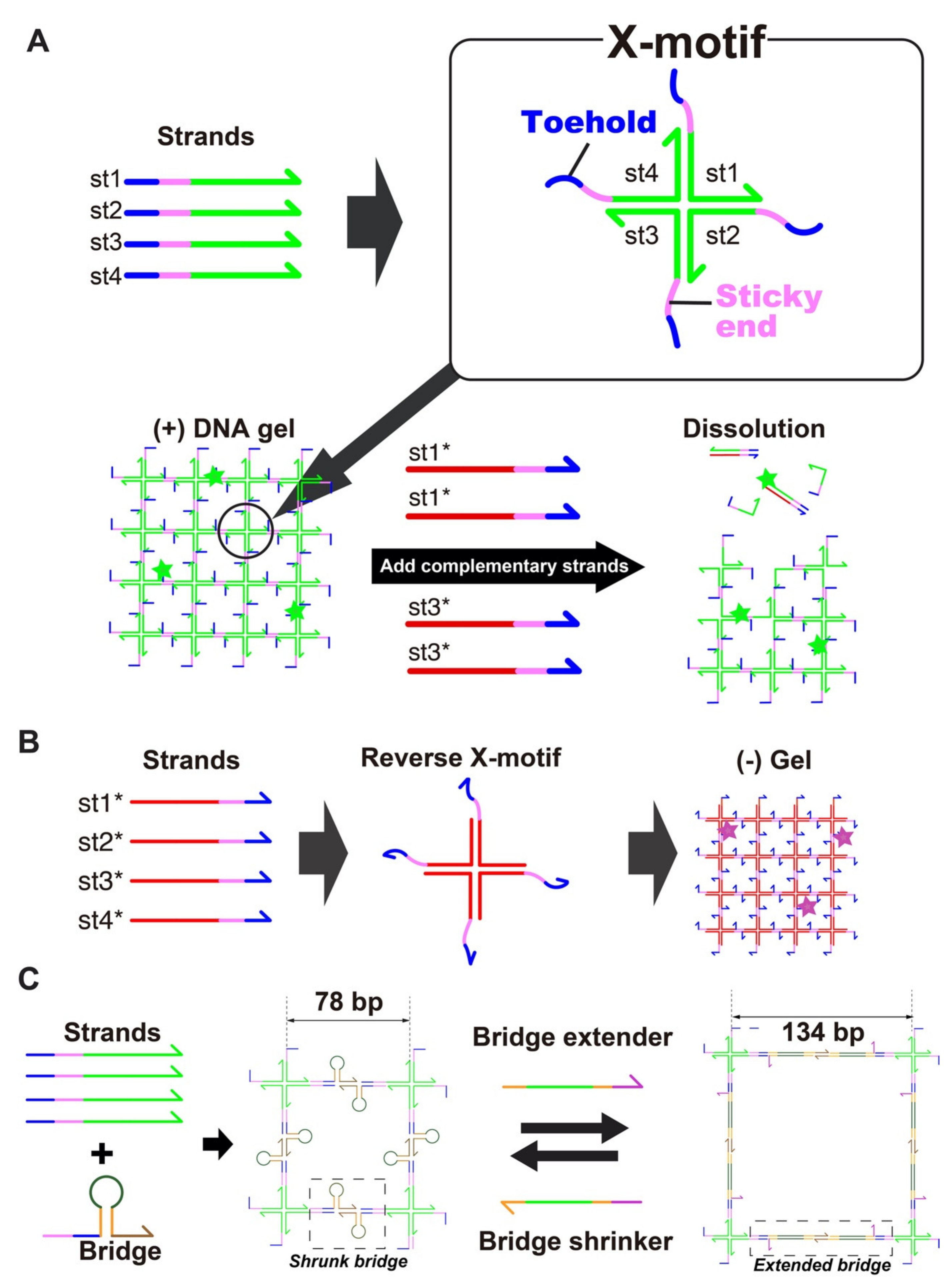 Nanomaterials 11 00293 g001