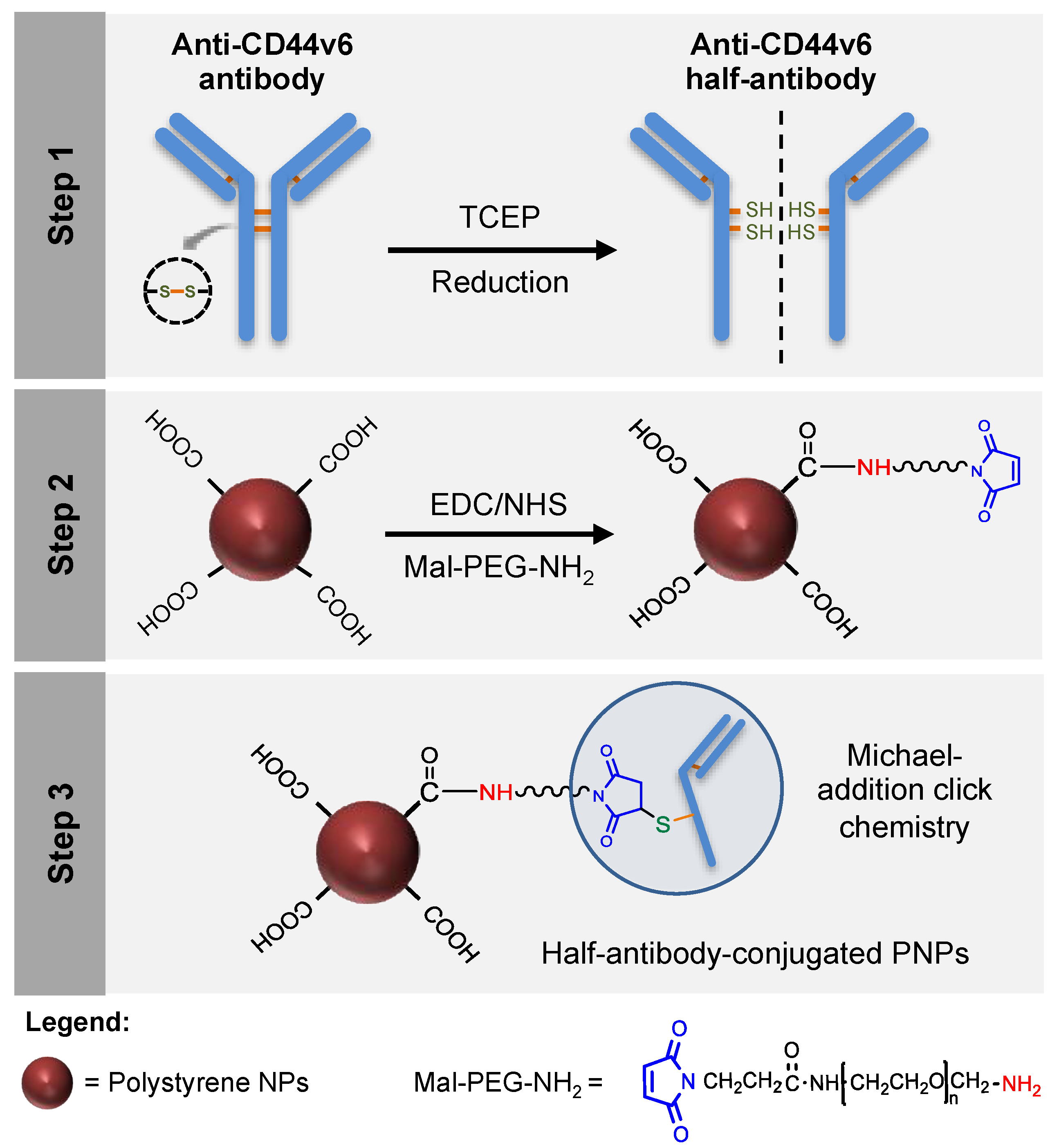 Nanomaterials 11 00295 g001