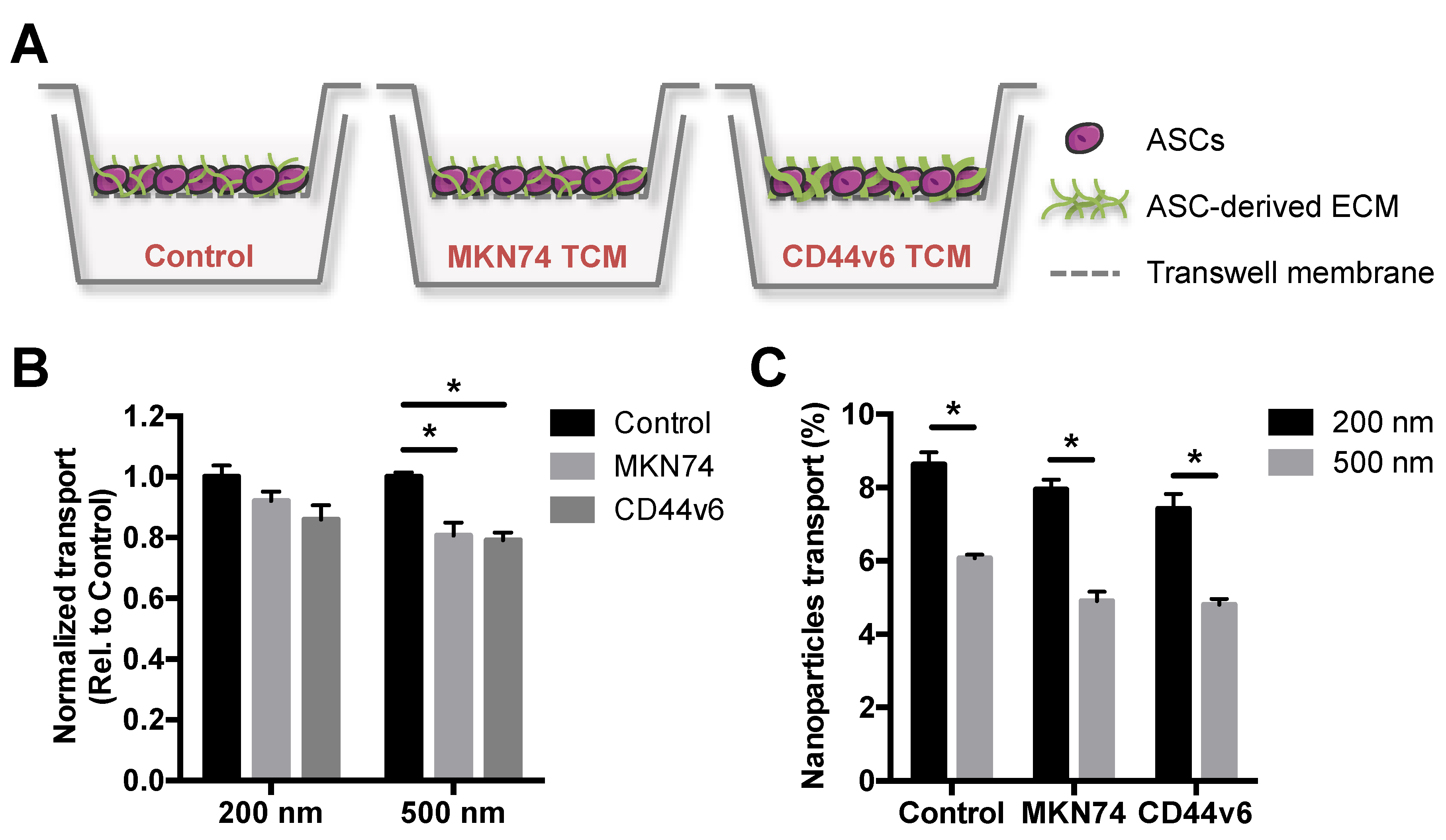 Nanomaterials 11 00295 g002