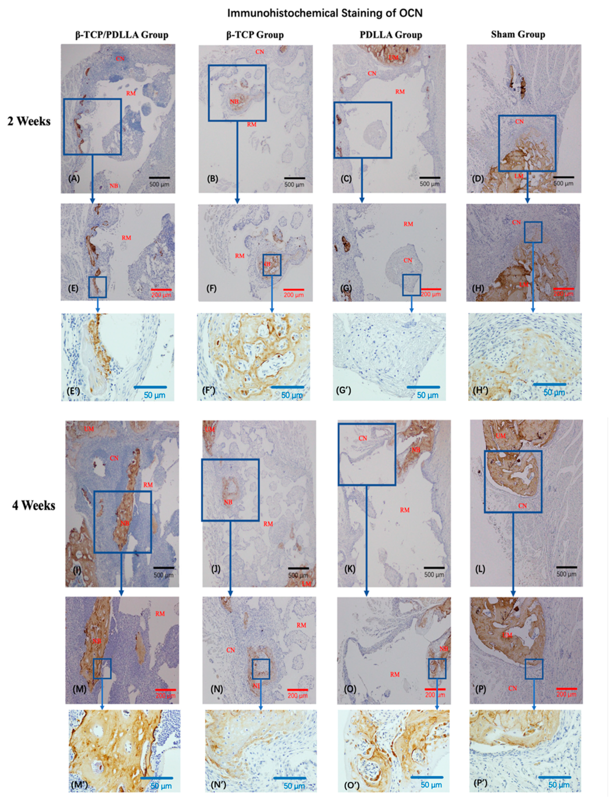 Nanomaterials 11 00303 g007a