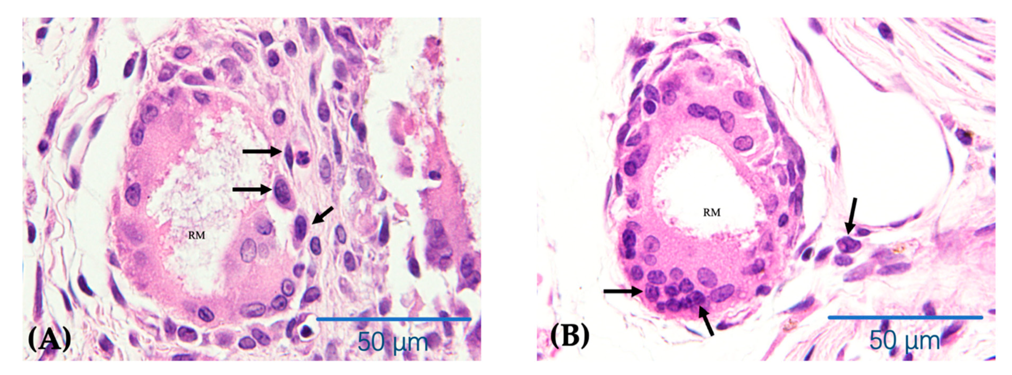 Nanomaterials 11 00303 g009a
