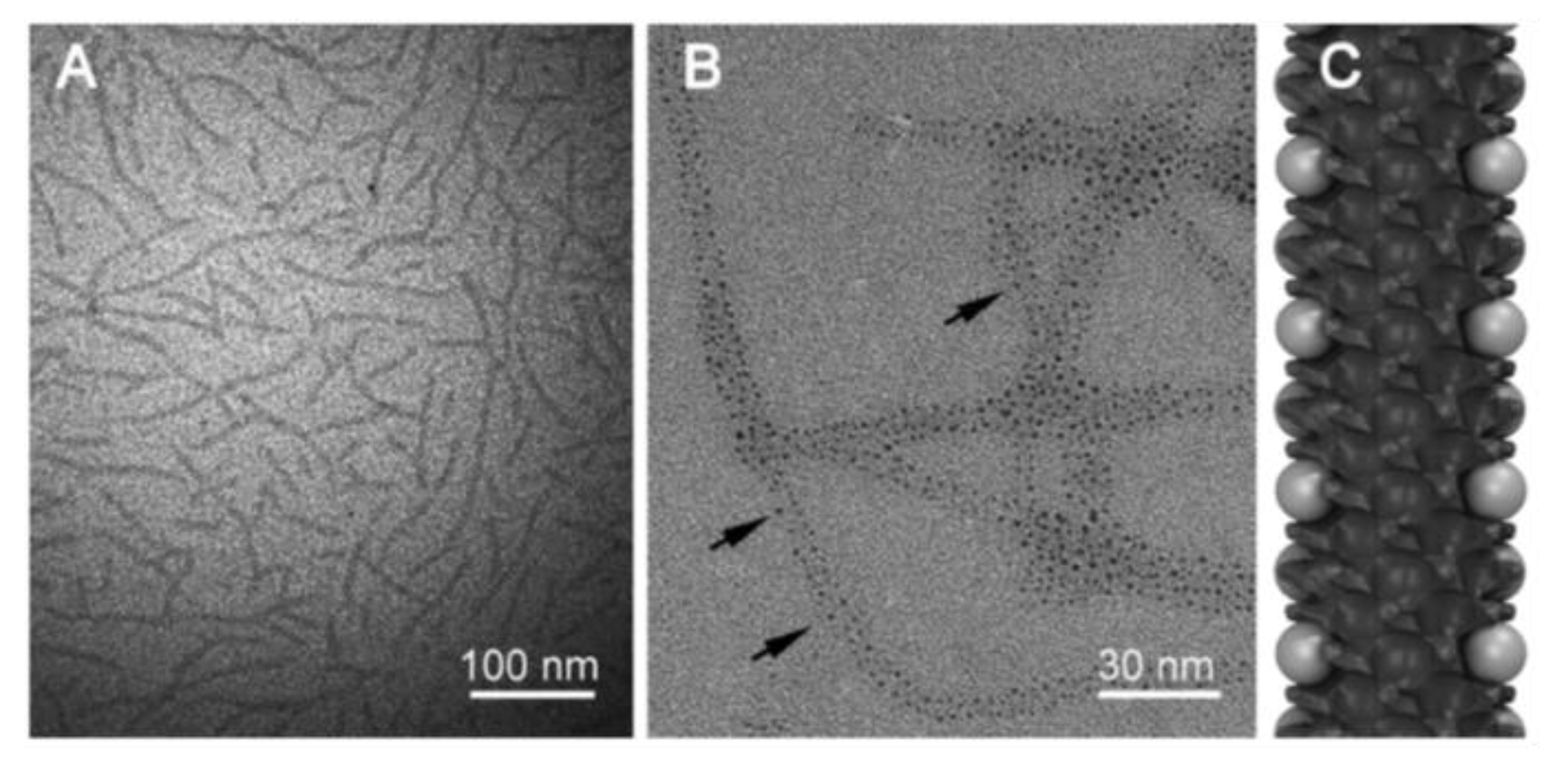 Nanomaterials 11 00312 g006 Nanomaterials 11 00312 g006