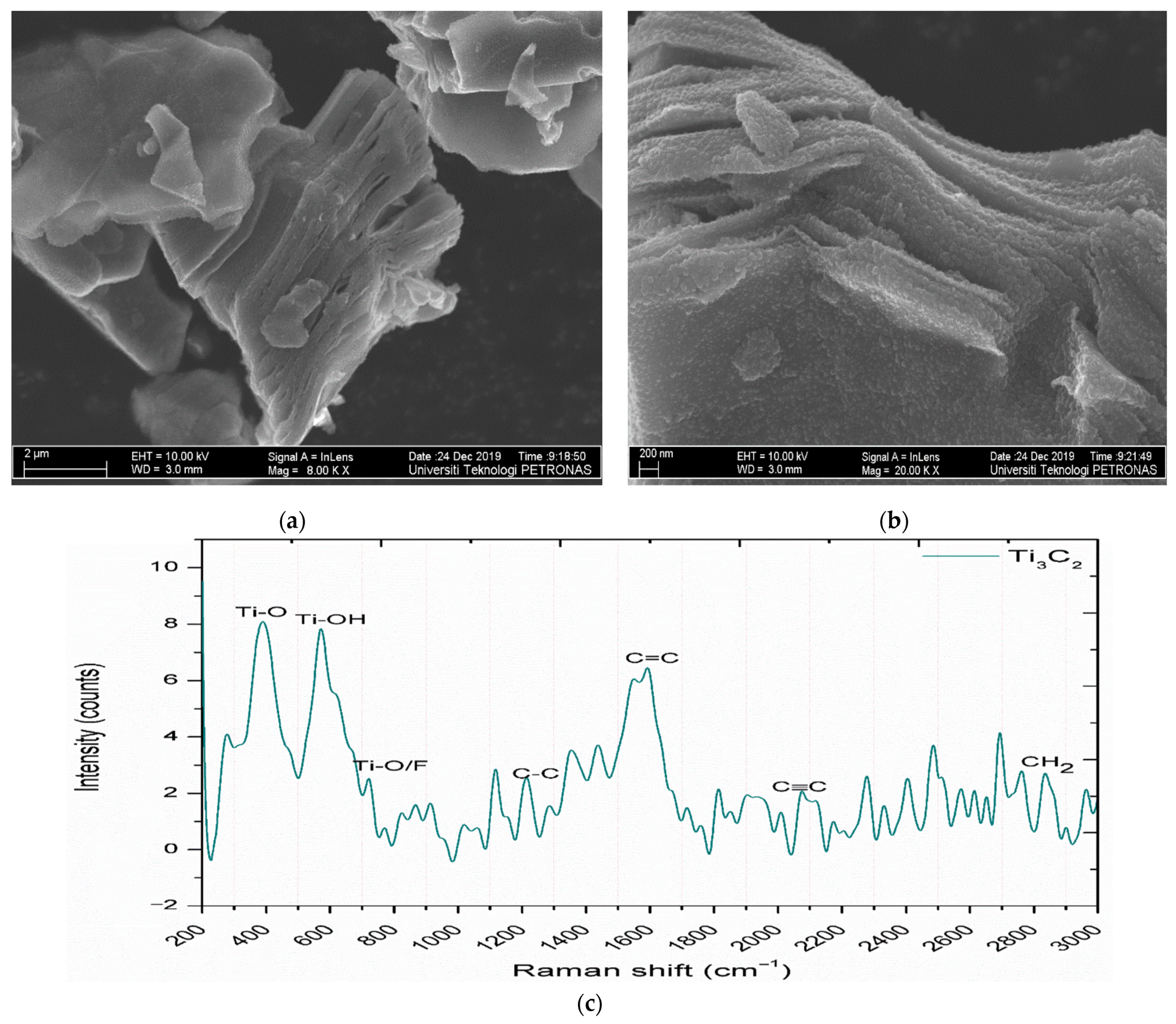 Nanomaterials 11 00320 g003