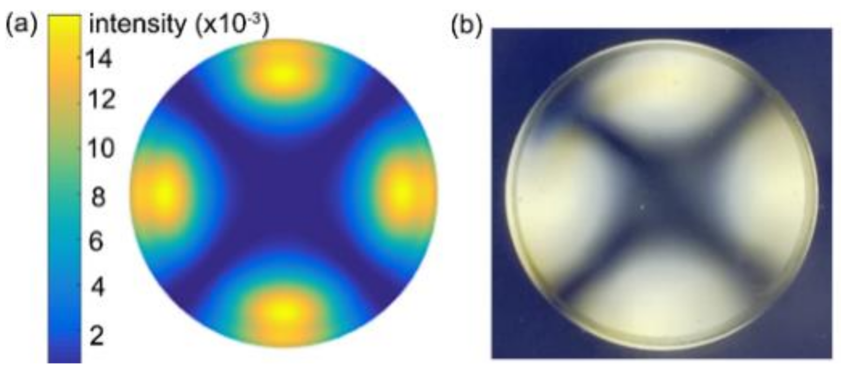 Nanomaterials 11 00363 g012