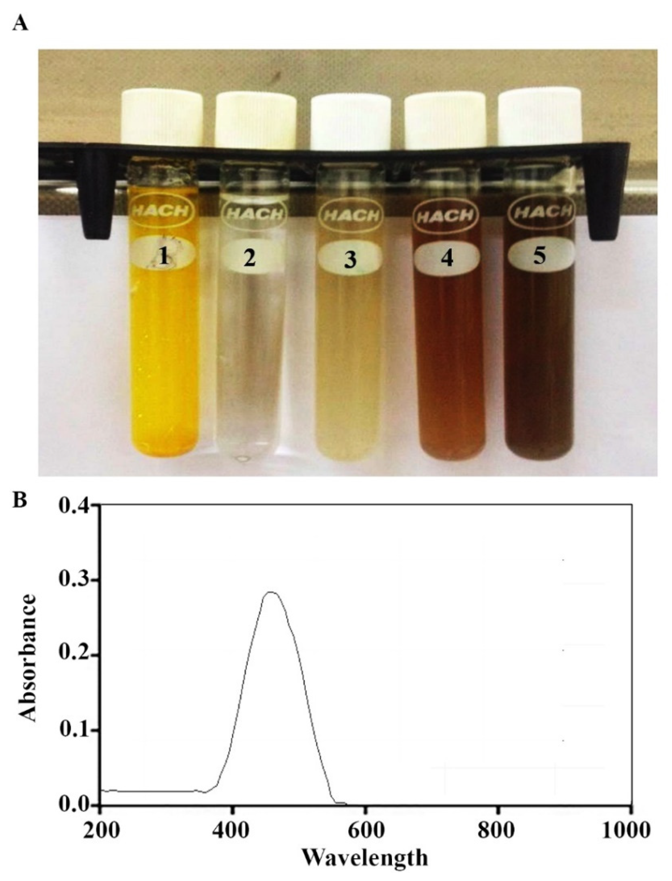 Nanomaterials 11 00384 g001 Nanomaterials 11 00384 g001