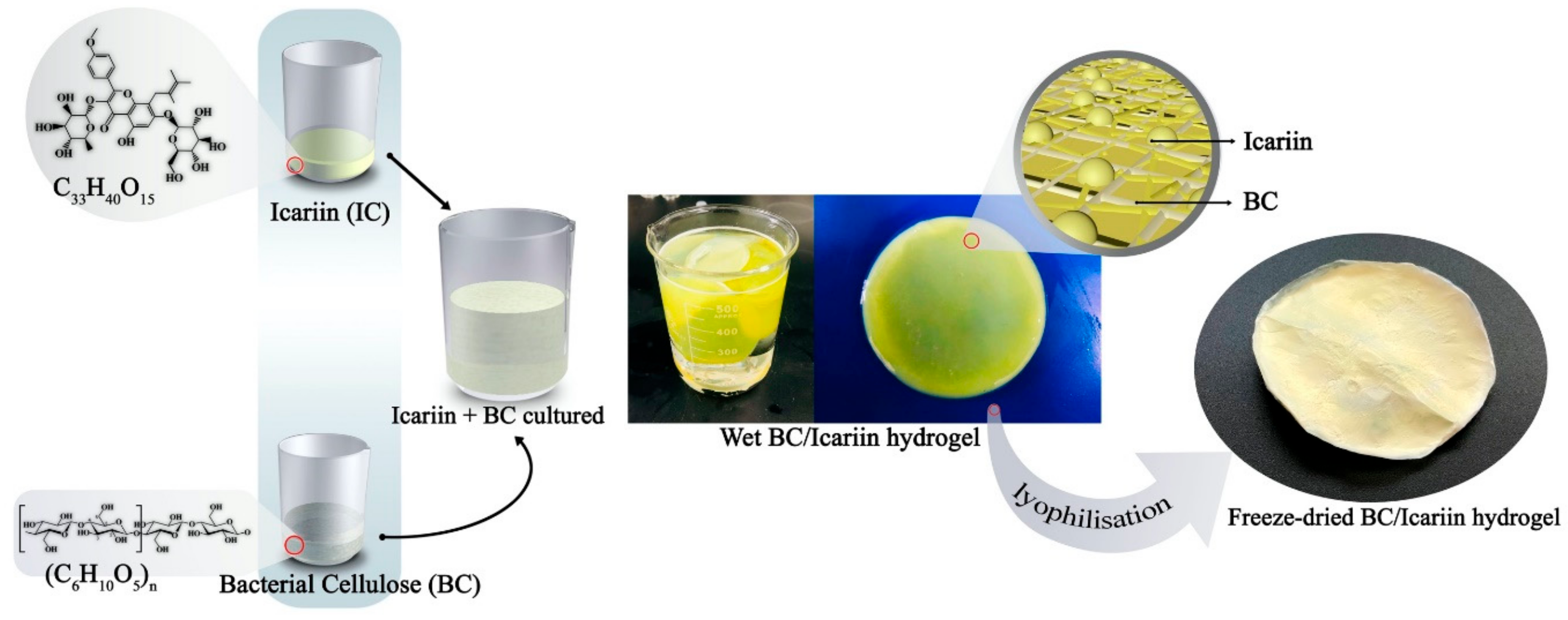 Nanomaterials 11 00387 sch002