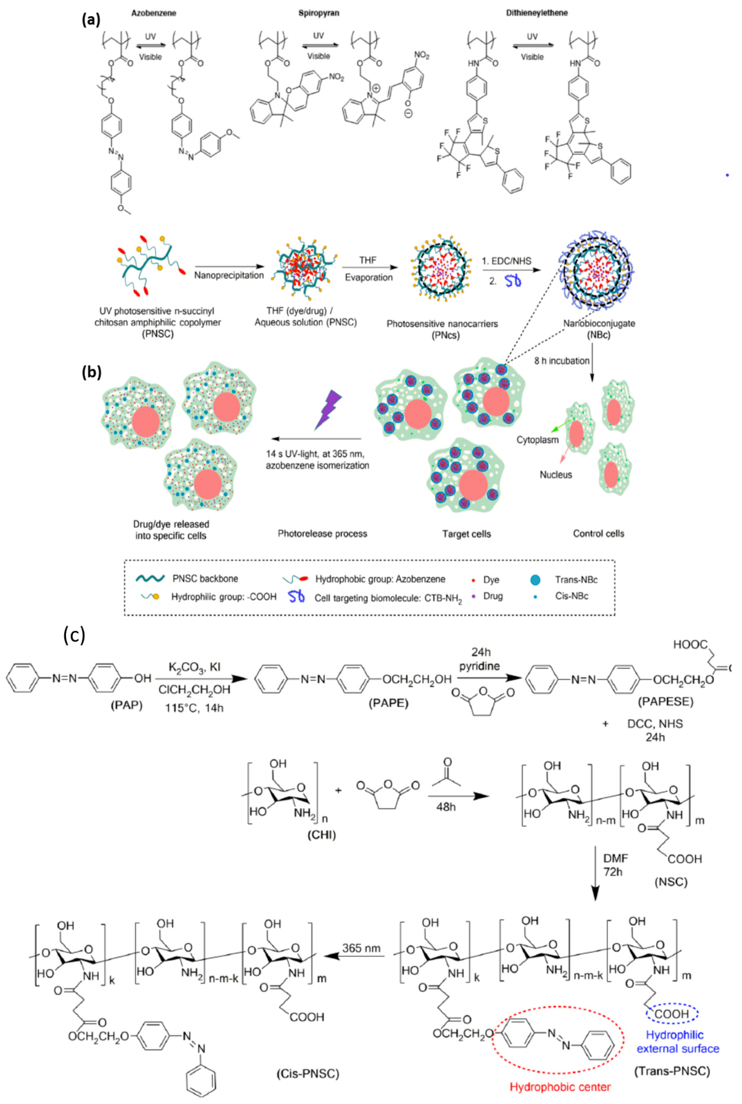 Nanomaterials 11 00396 g004