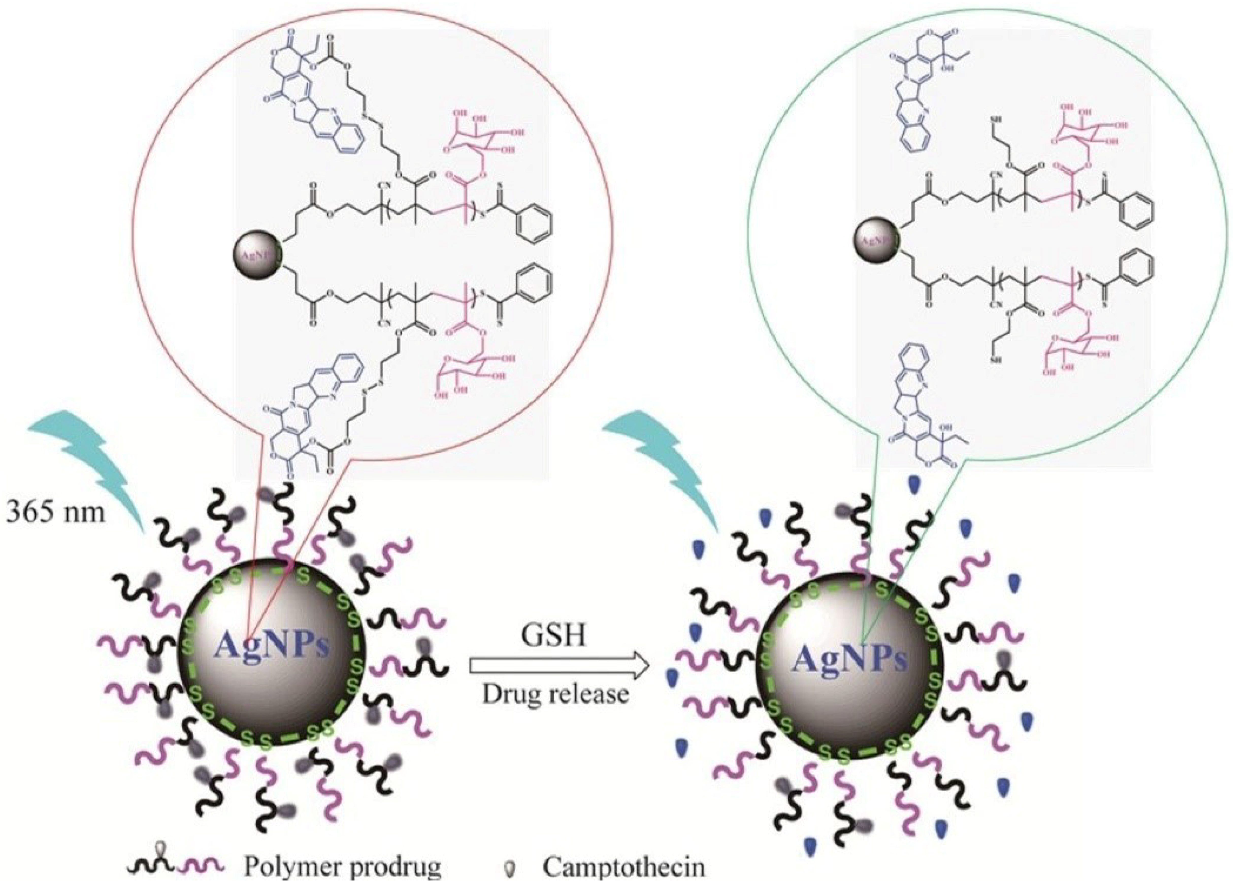 Nanomaterials 11 00396 g007