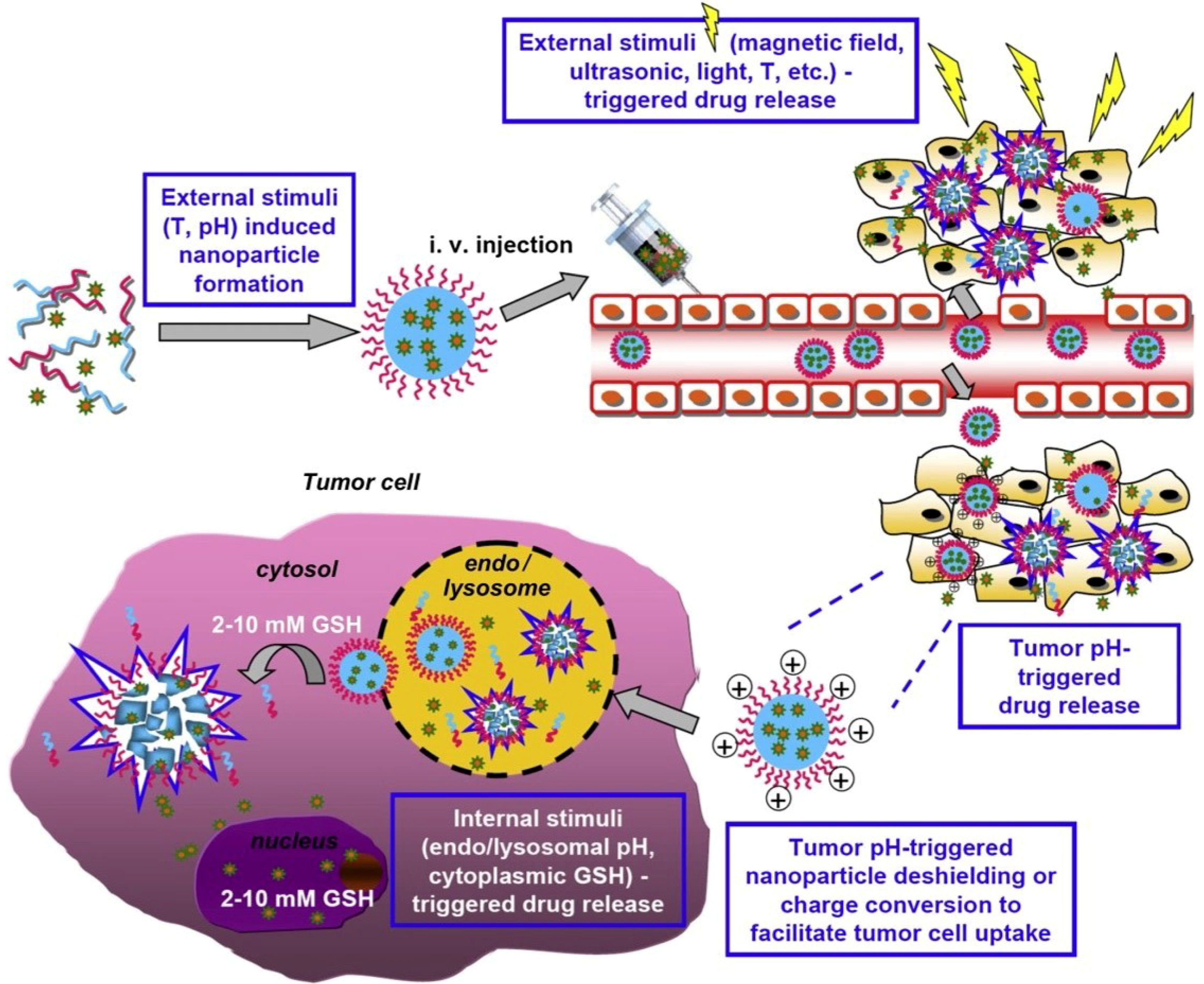 Nanomaterials 11 00396 g010