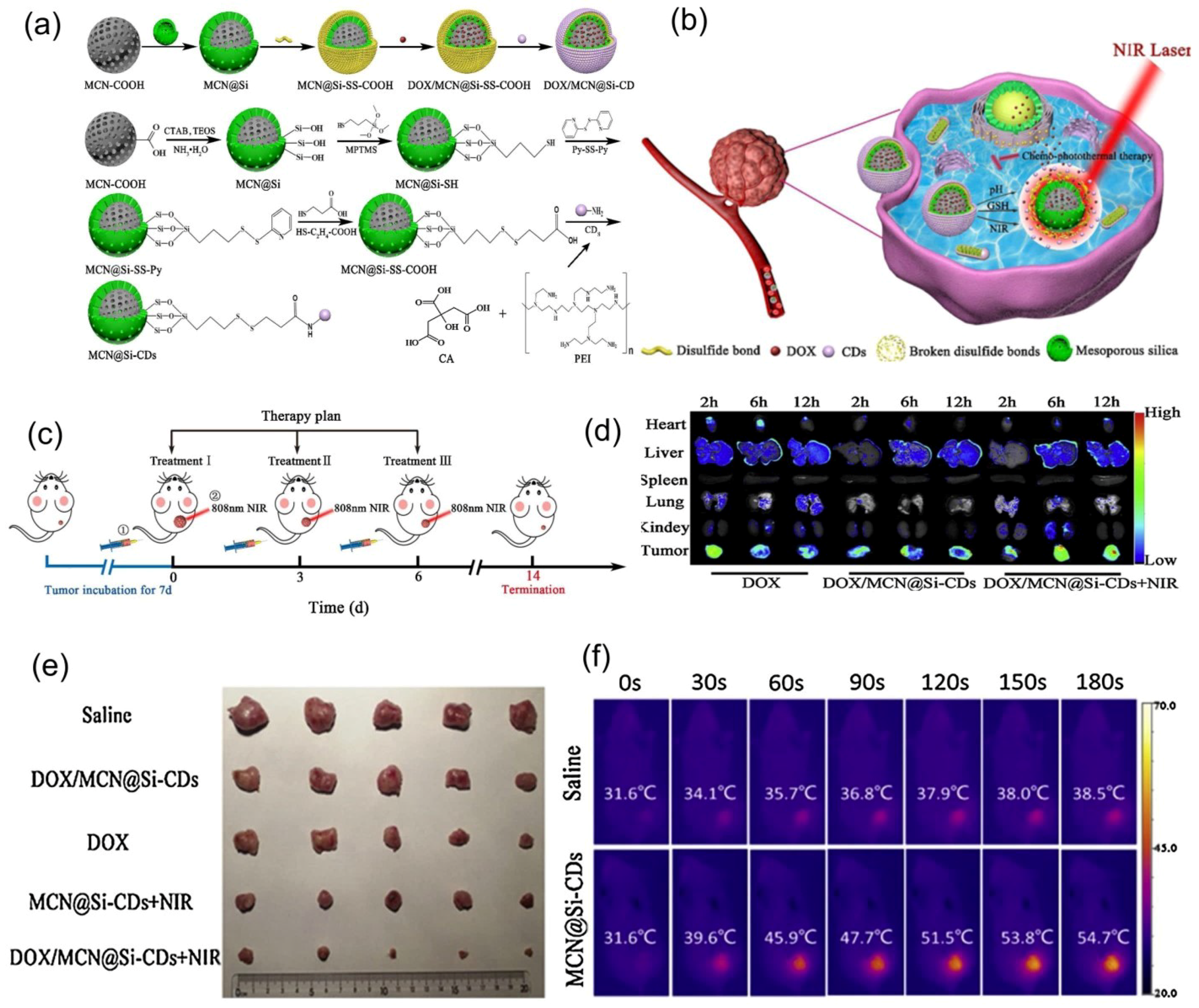 Nanomaterials 11 00396 g011