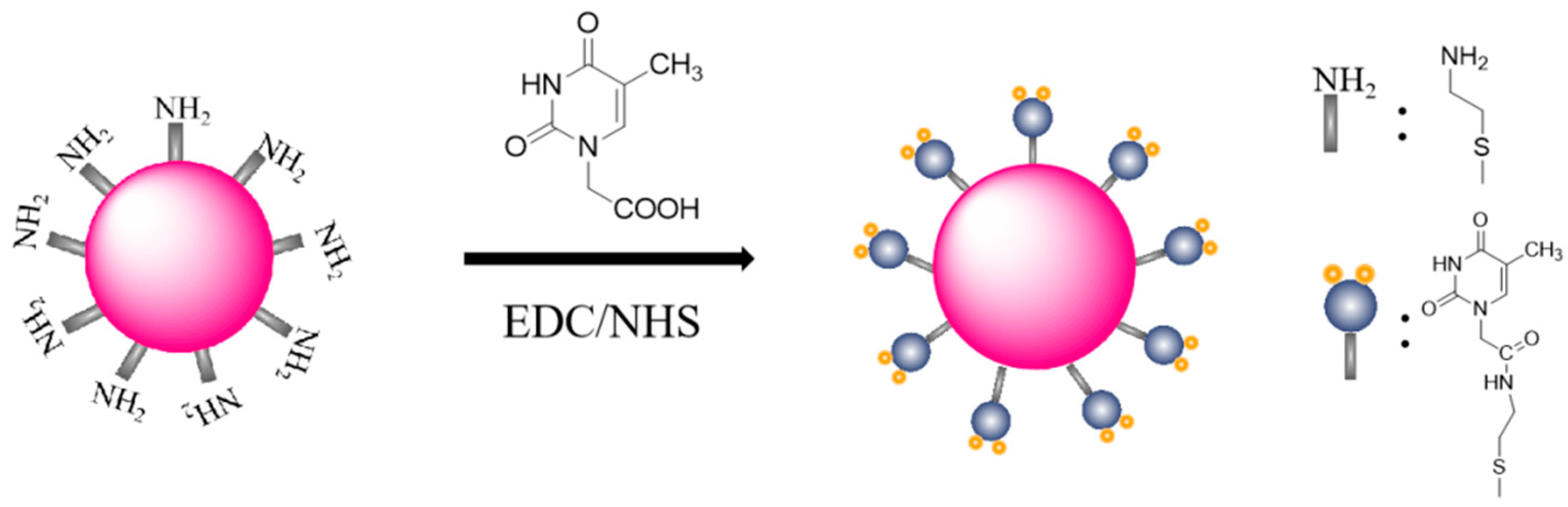 Nanomaterials 11 00397 g002 Nanomaterials 11 00397 g002