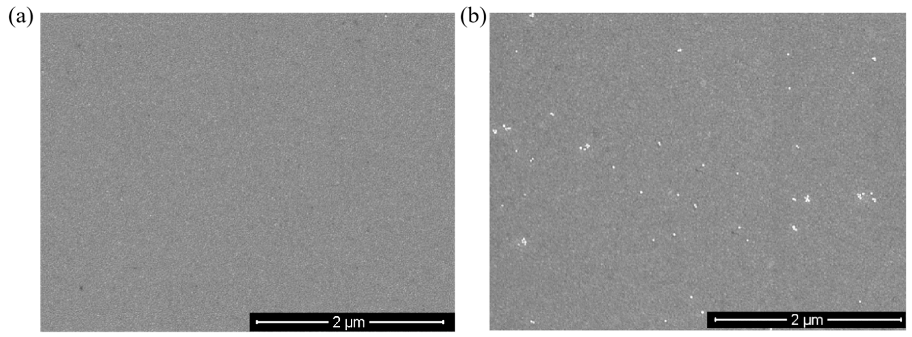 Nanomaterials 11 00397 g006 Nanomaterials 11 00397 g006