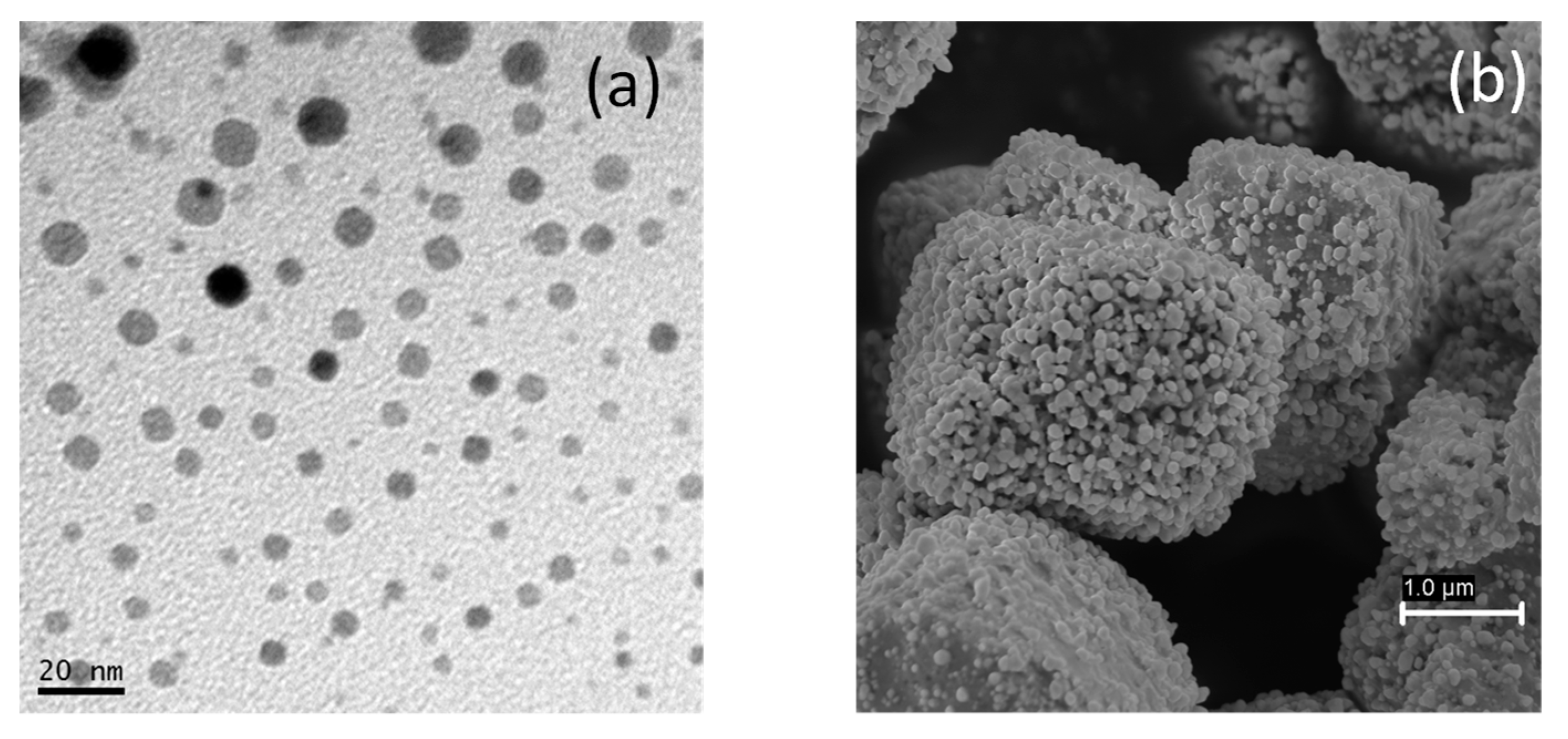 Nanomaterials 11 00411 g004