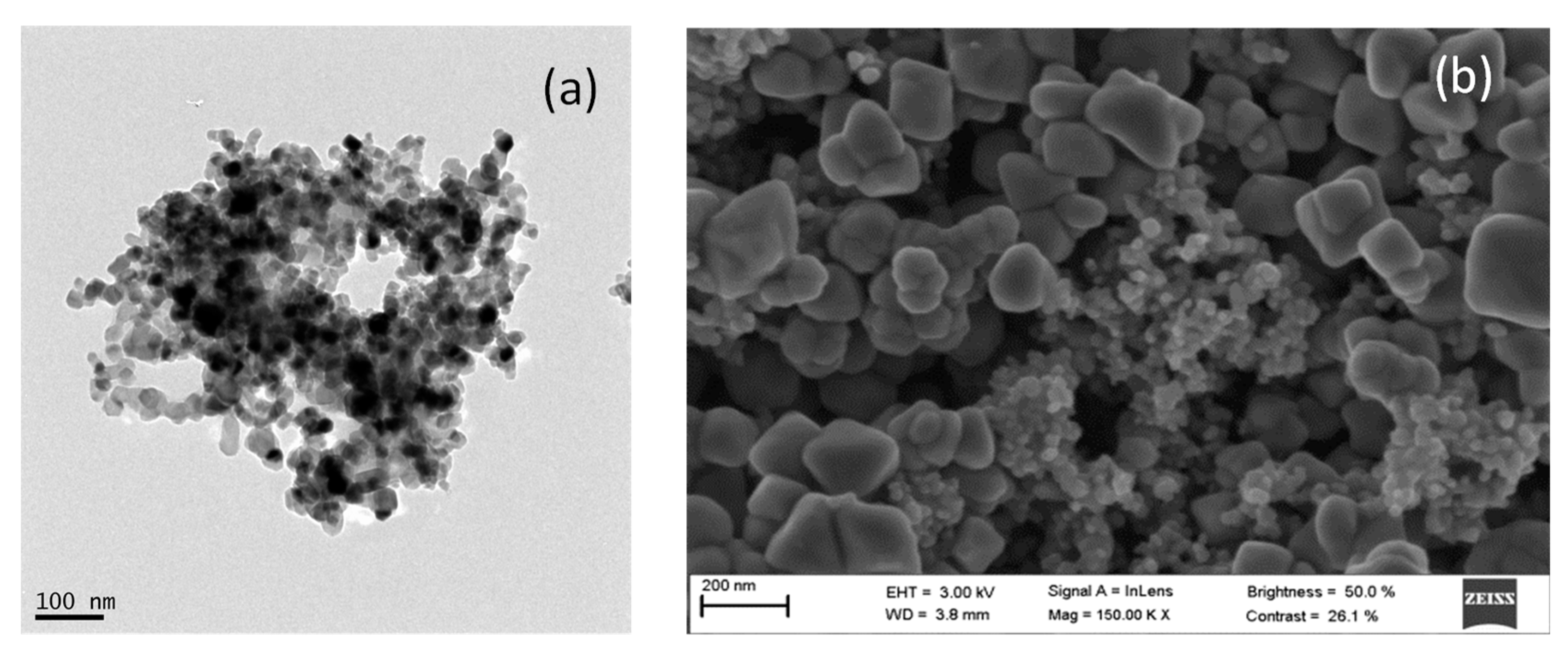 Nanomaterials 11 00411 g005