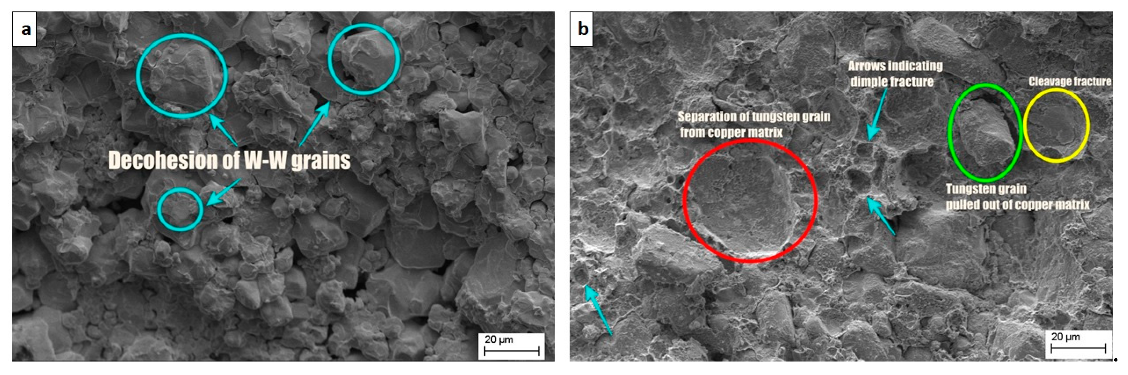 Nanomaterials 11 00413 g010