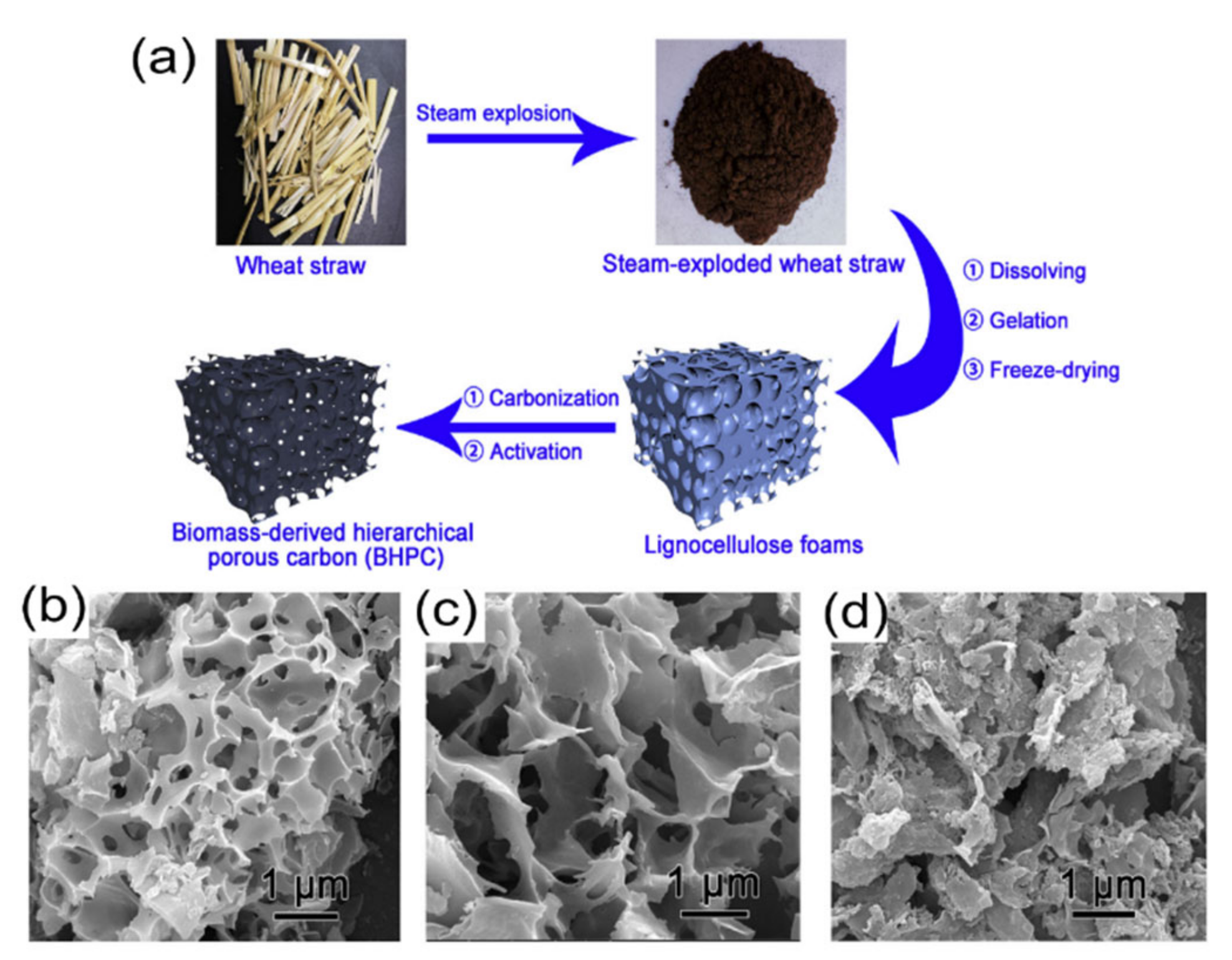 Nanomaterials 11 00424 g004