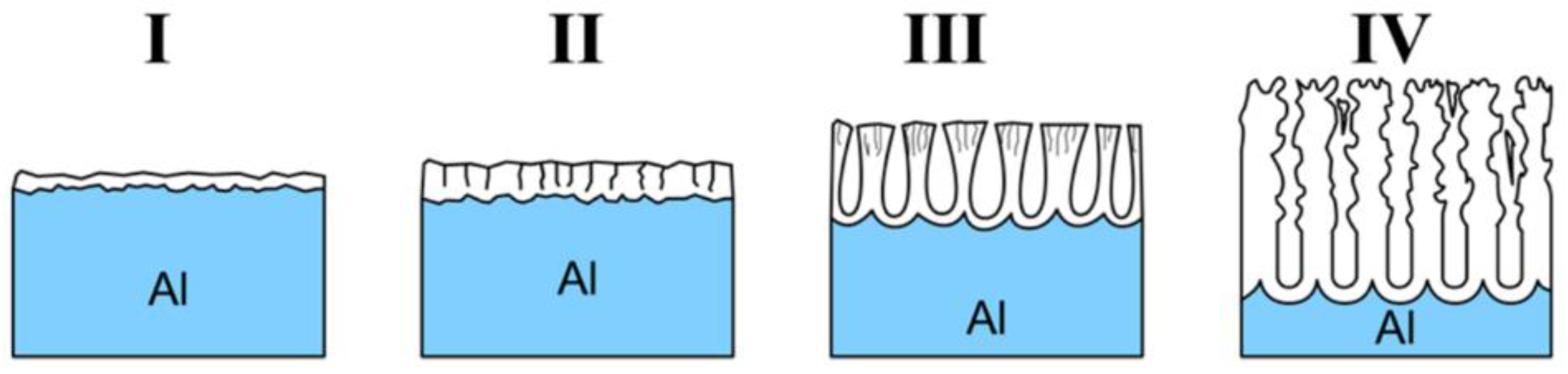 Nanomaterials 11 00430 g003 Nanomaterials 11 00430 g003