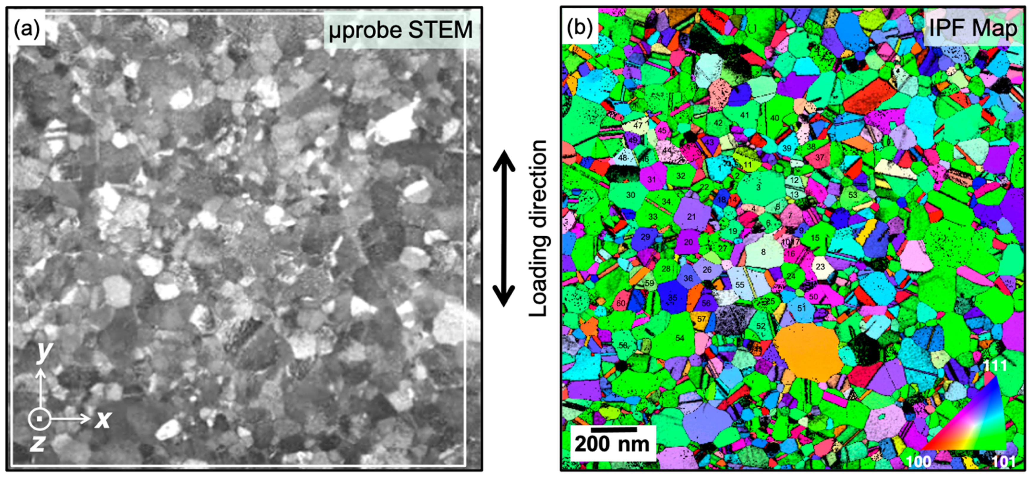 Nanomaterials 11 00432 g002
