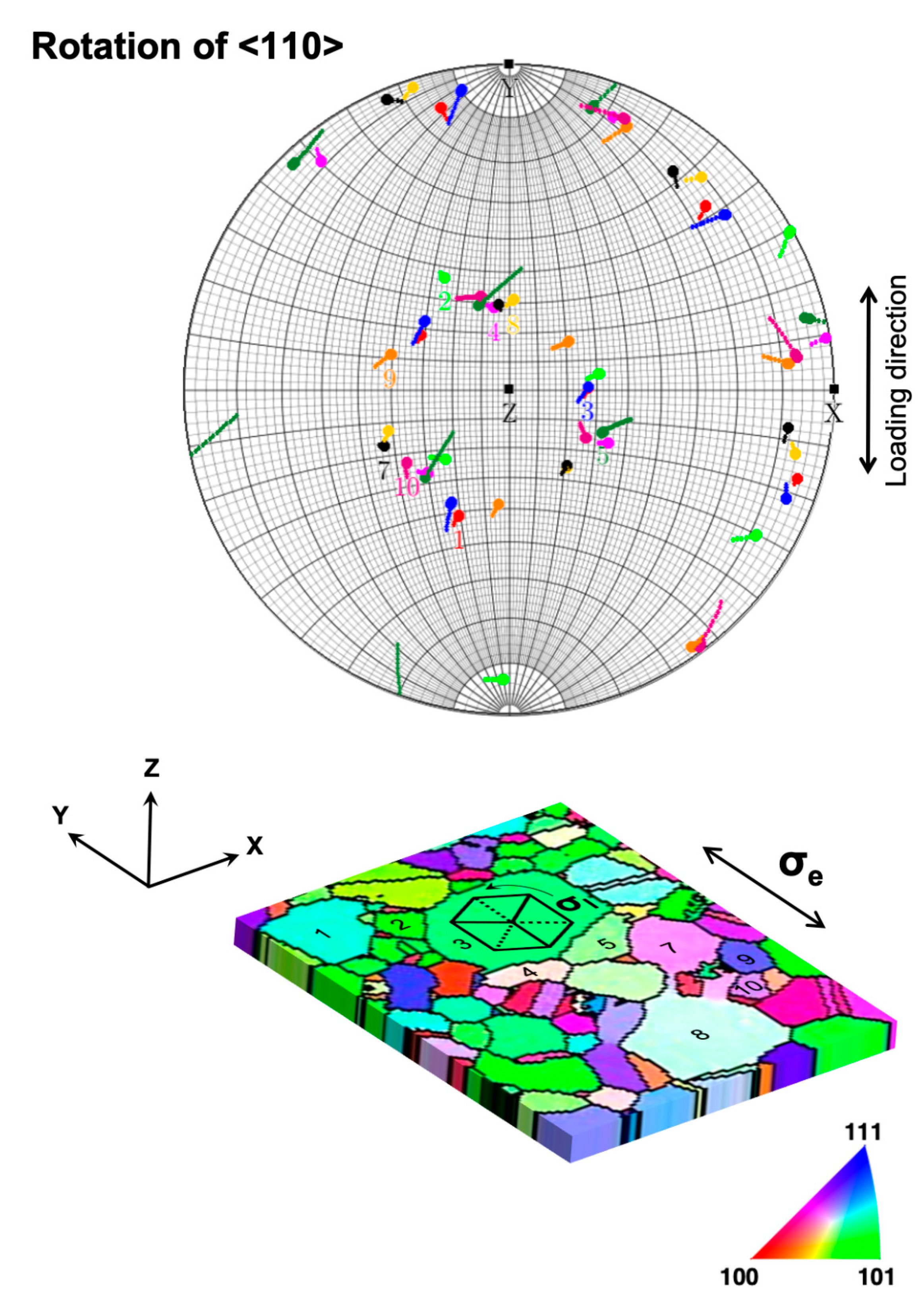 Nanomaterials 11 00432 g008