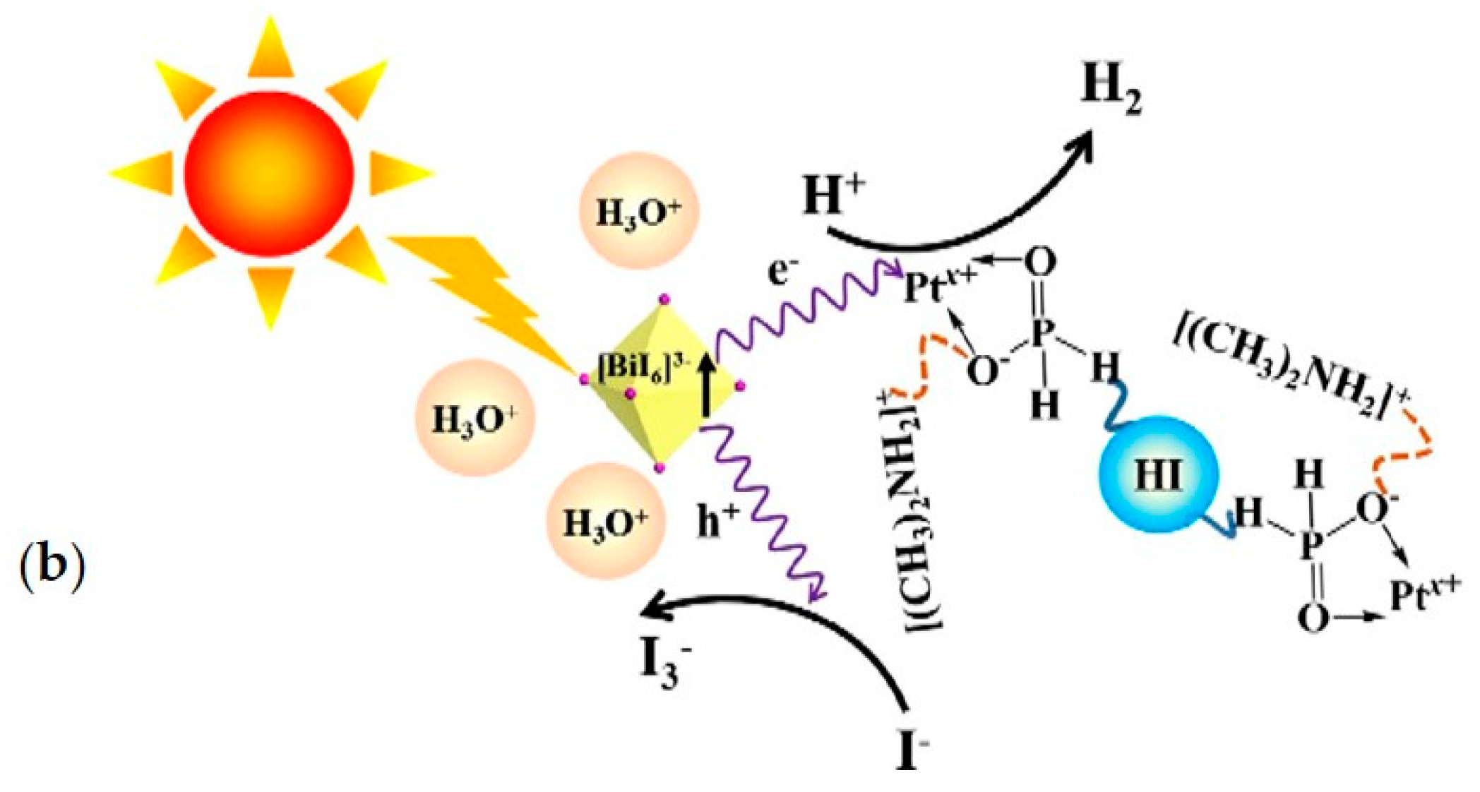 Nanomaterials 11 00433 g006b
