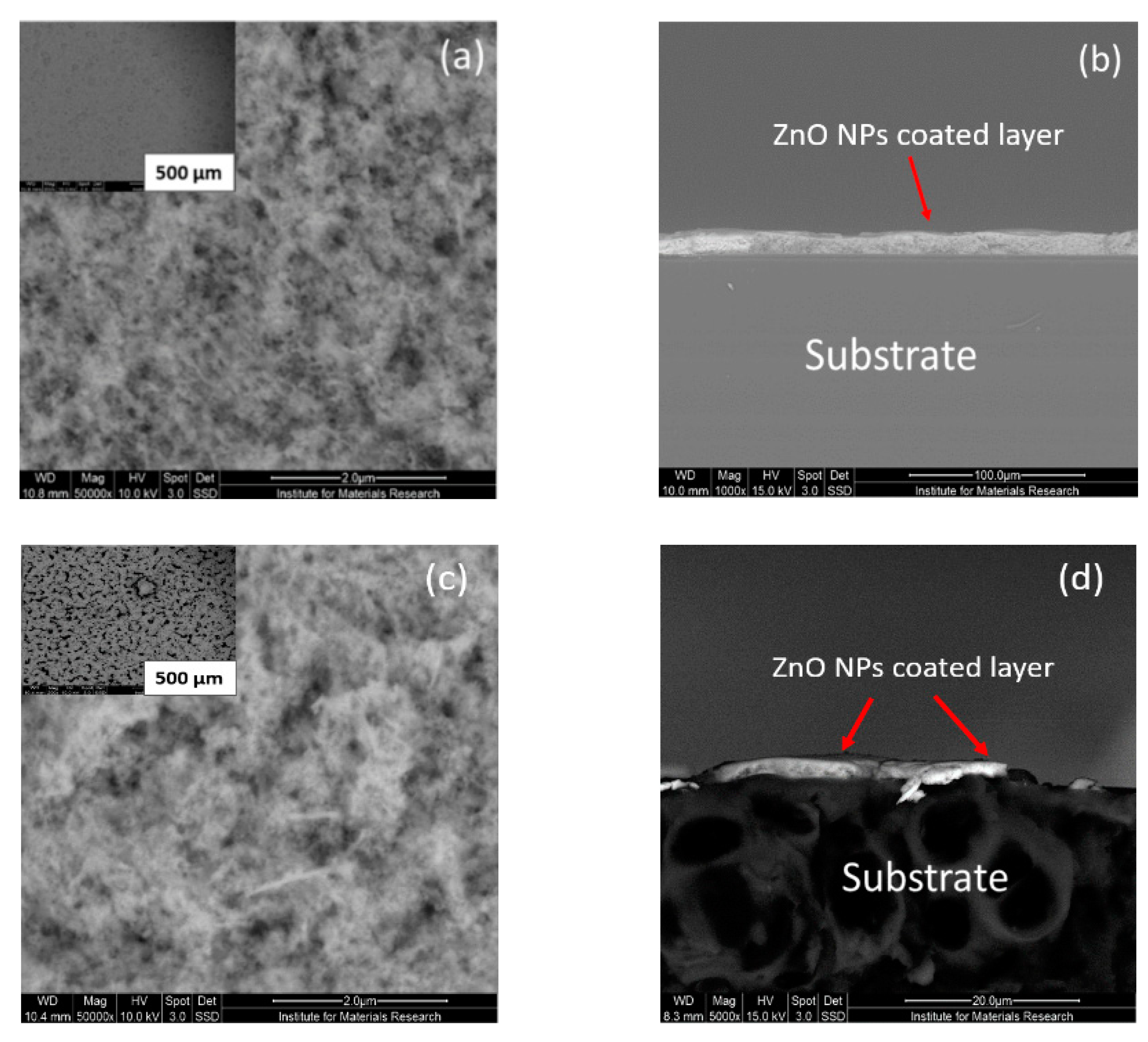 Nanomaterials 11 00449 g004