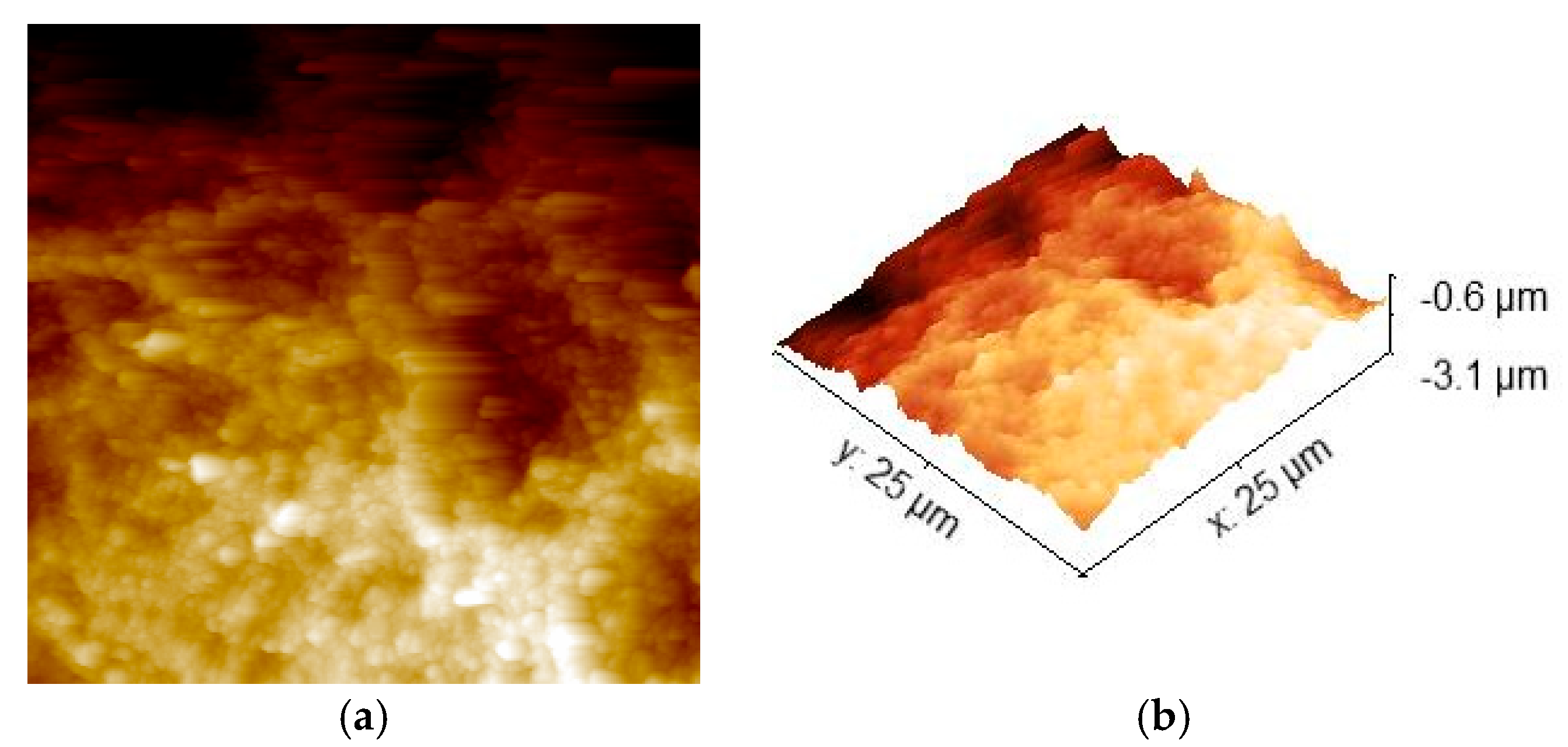 Nanomaterials 11 00449 g005