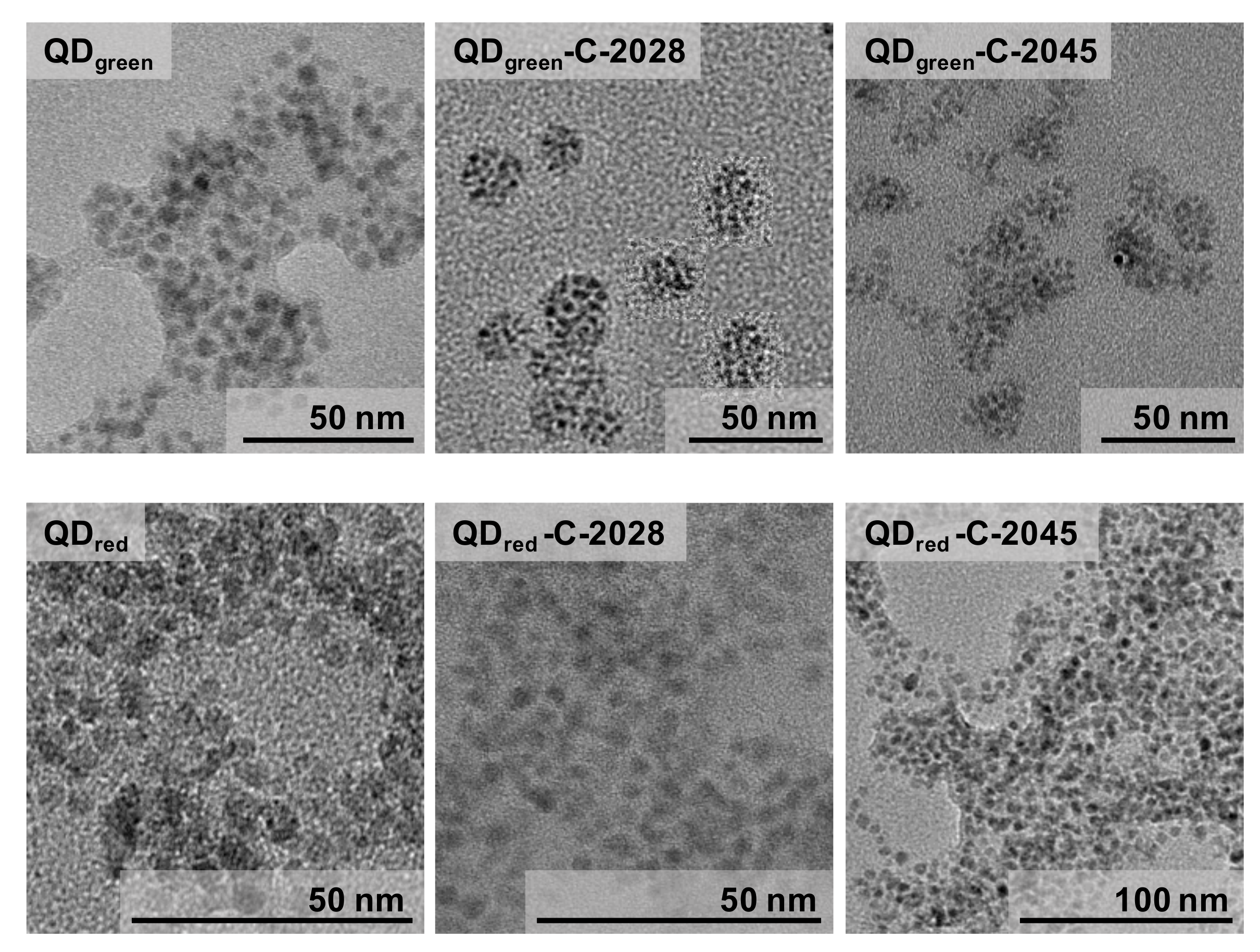 Nanomaterials 11 00462 g002