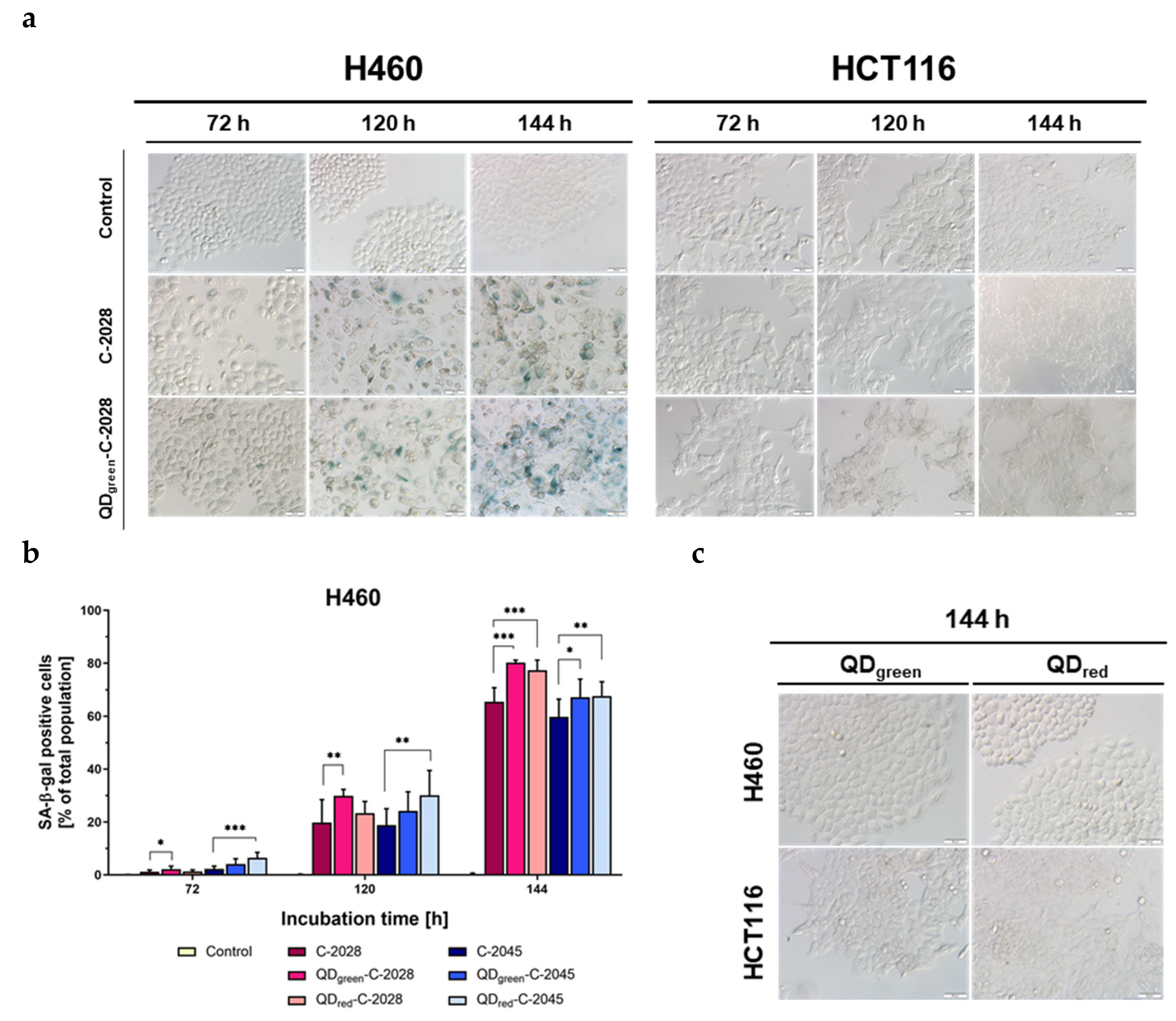 Nanomaterials 11 00462 g008