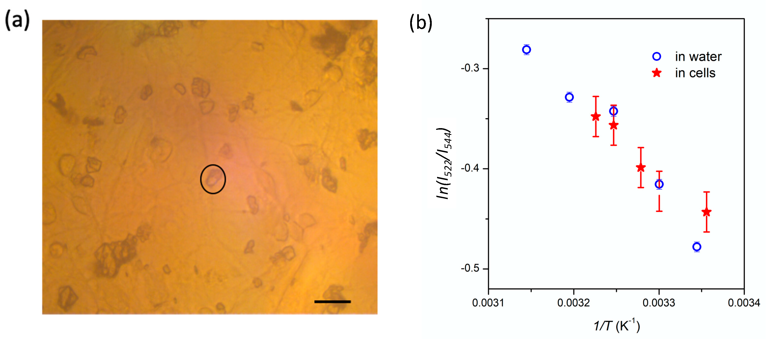Nanomaterials 11 00479 g005