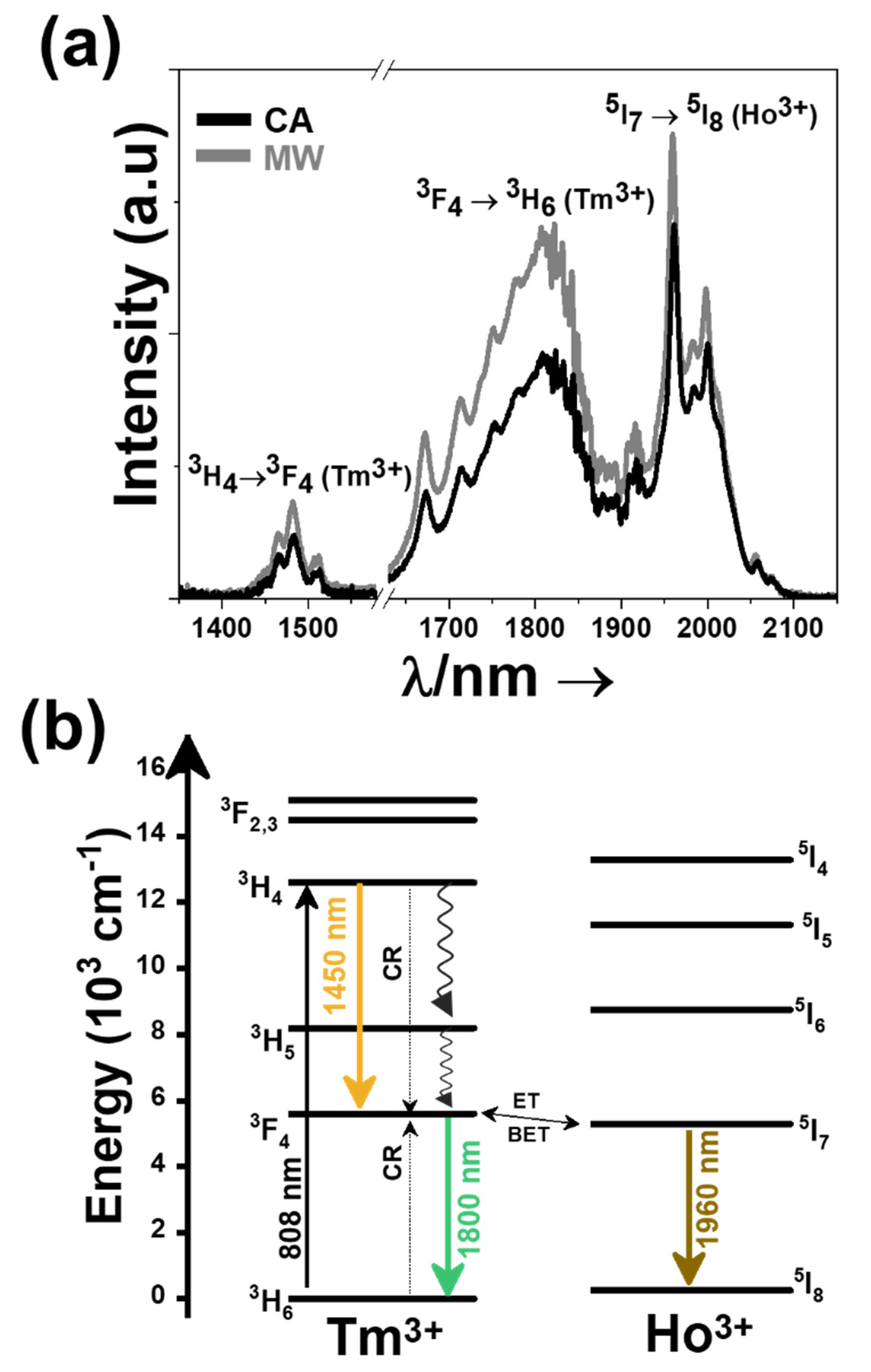 Nanomaterials | Free Full-Text | Effect of the Size and Shape of Ho, Tm:KLu(WO4)2  Nanoparticles on Their Self-Assessed Photothermal Properties