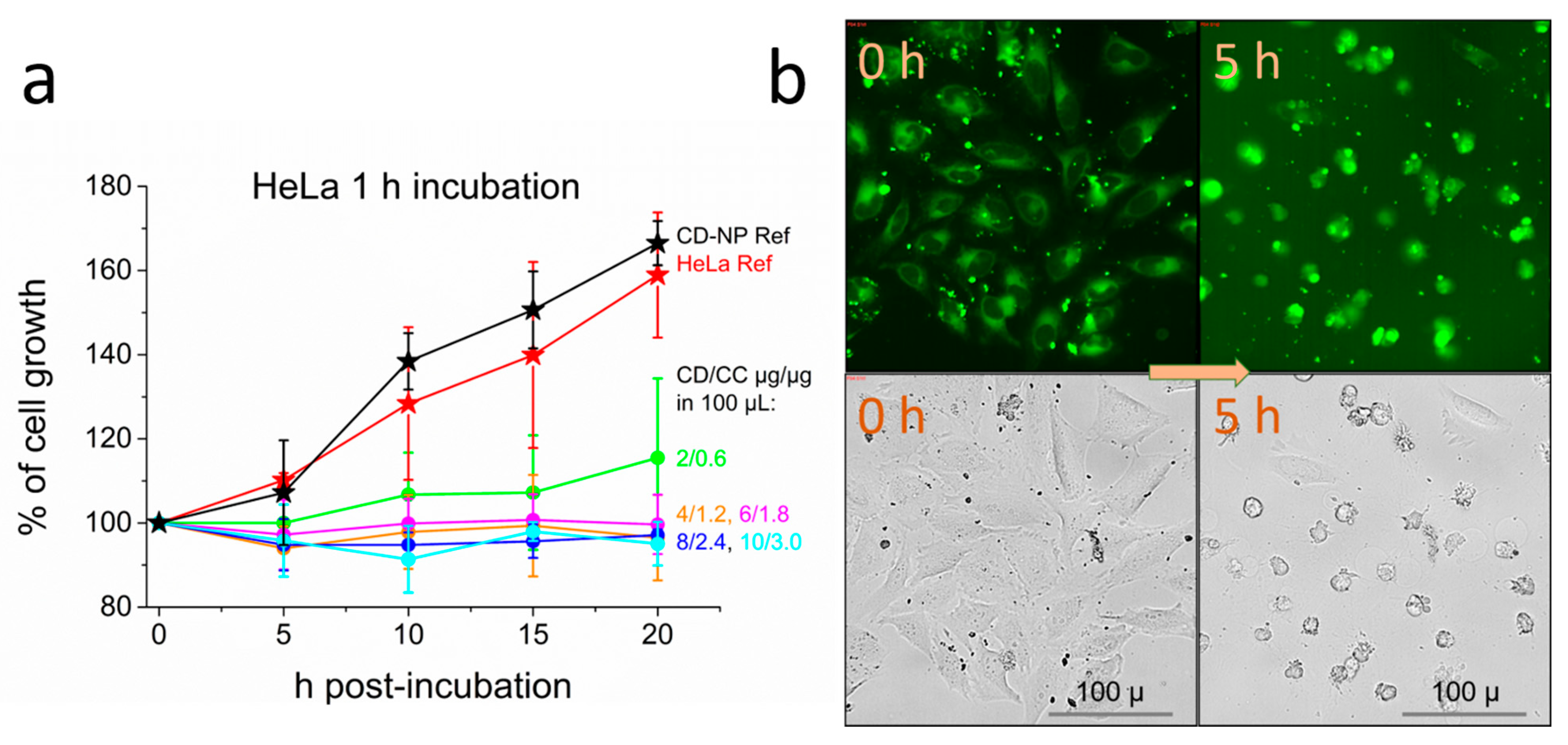 Nanomaterials 11 00489 g004
