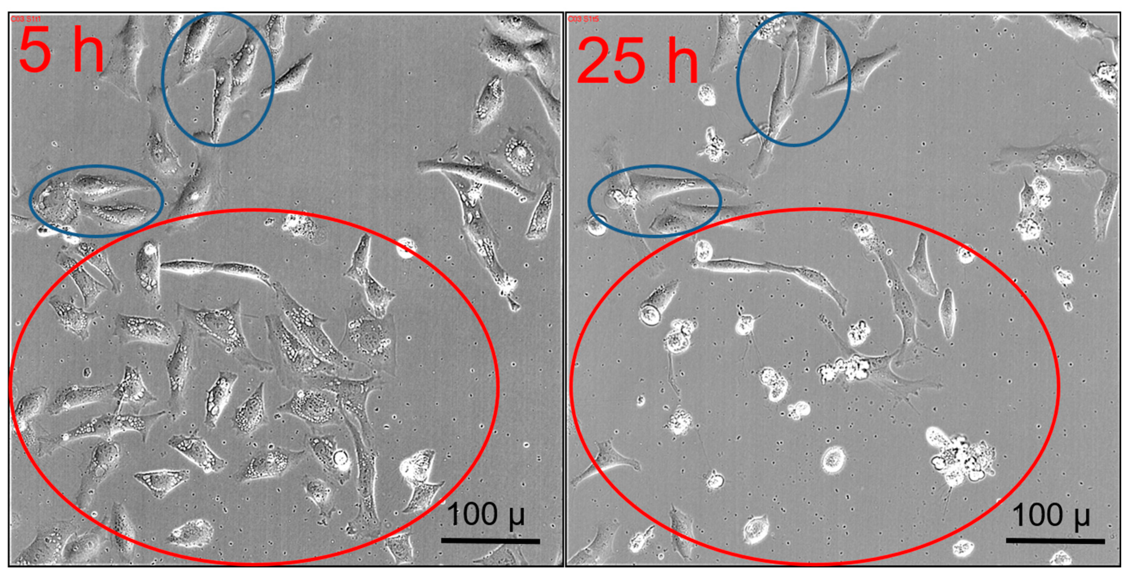 Nanomaterials 11 00489 g006