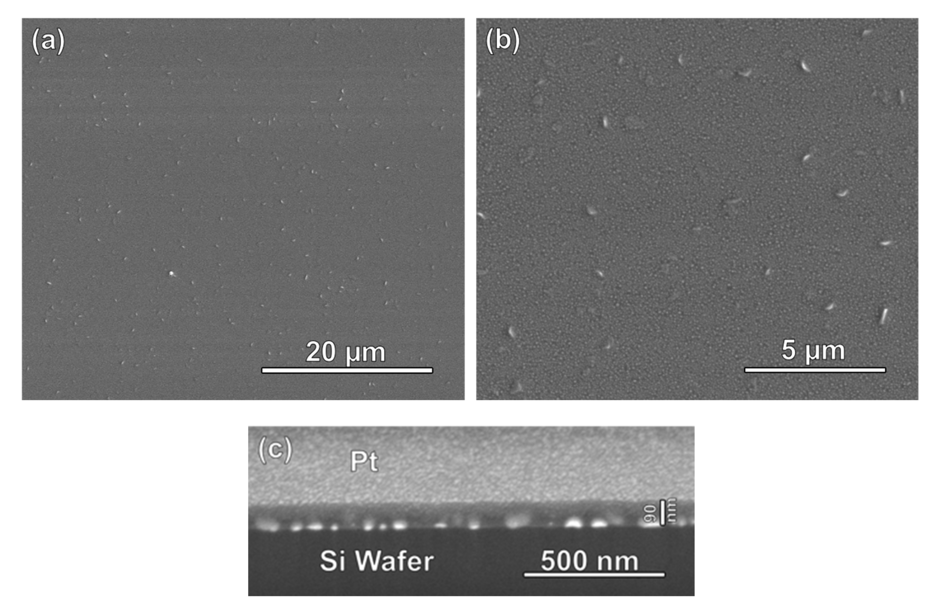 Nanomaterials 11 00512 g002 Nanomaterials 11 00512 g002