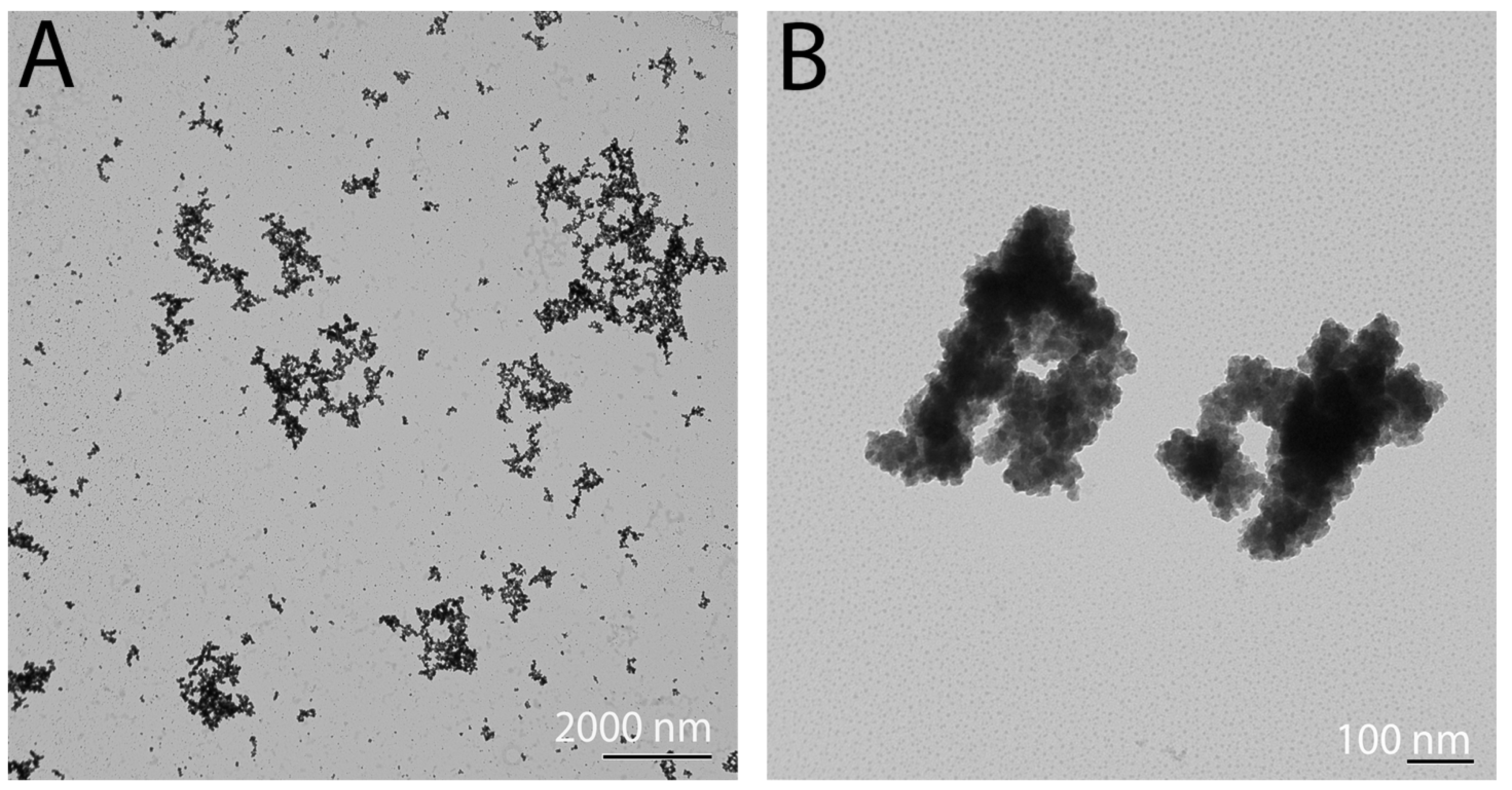 Nanomaterials 11 00514 g0a2