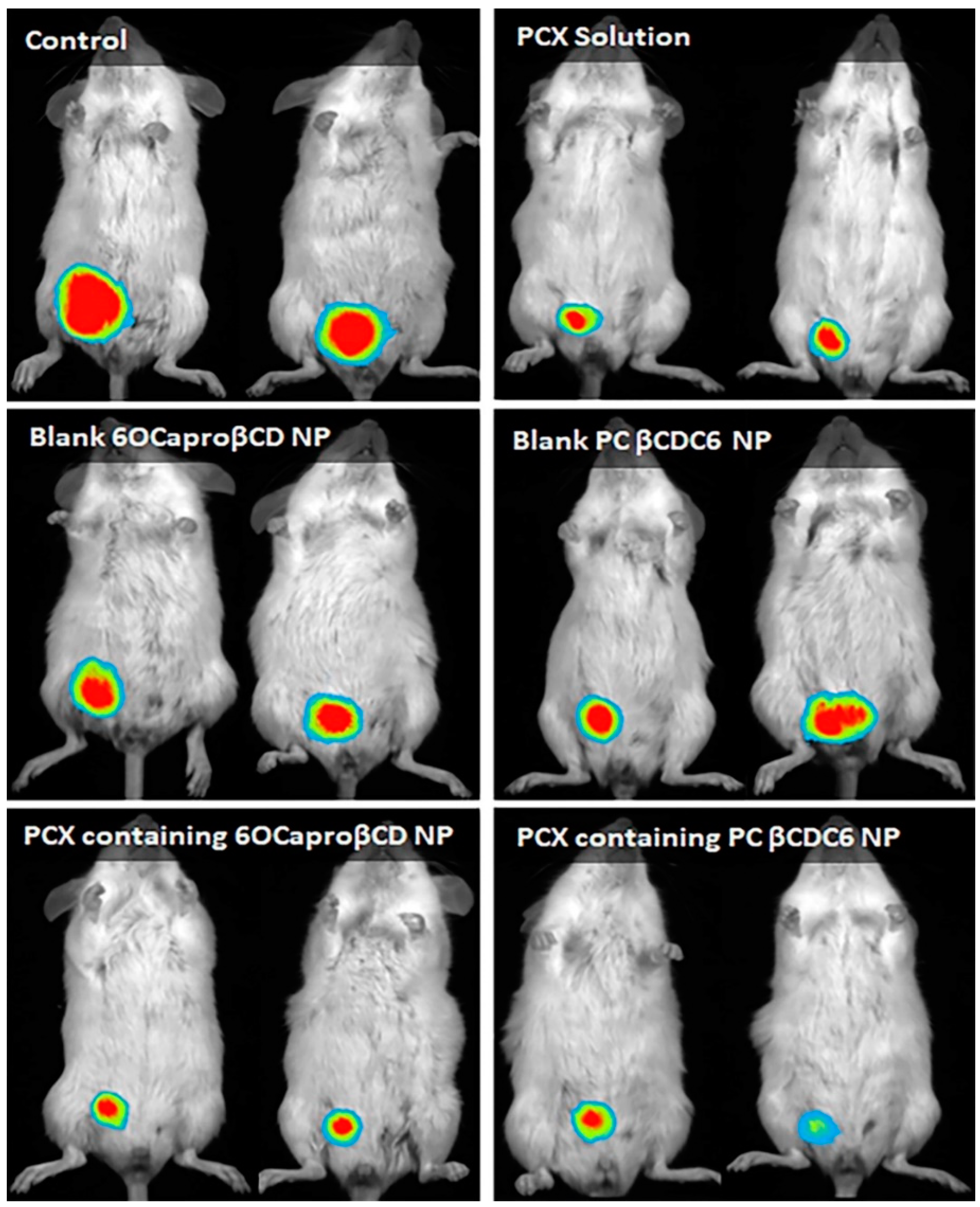 Nanomaterials 11 00515 g009 Nanomaterials 11 00515 g009