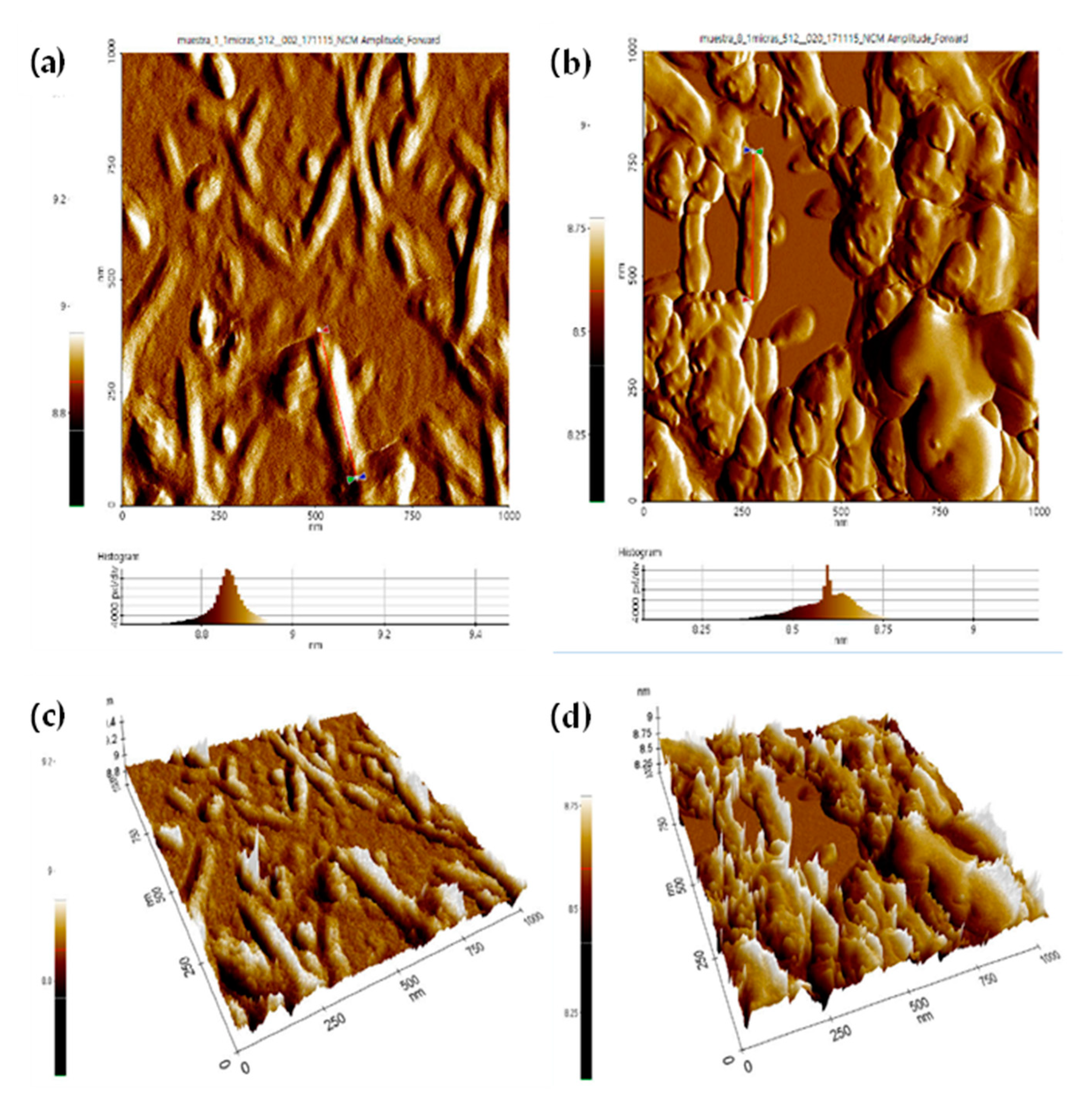 Nanomaterials 11 00520 g006 Nanomaterials 11 00520 g006