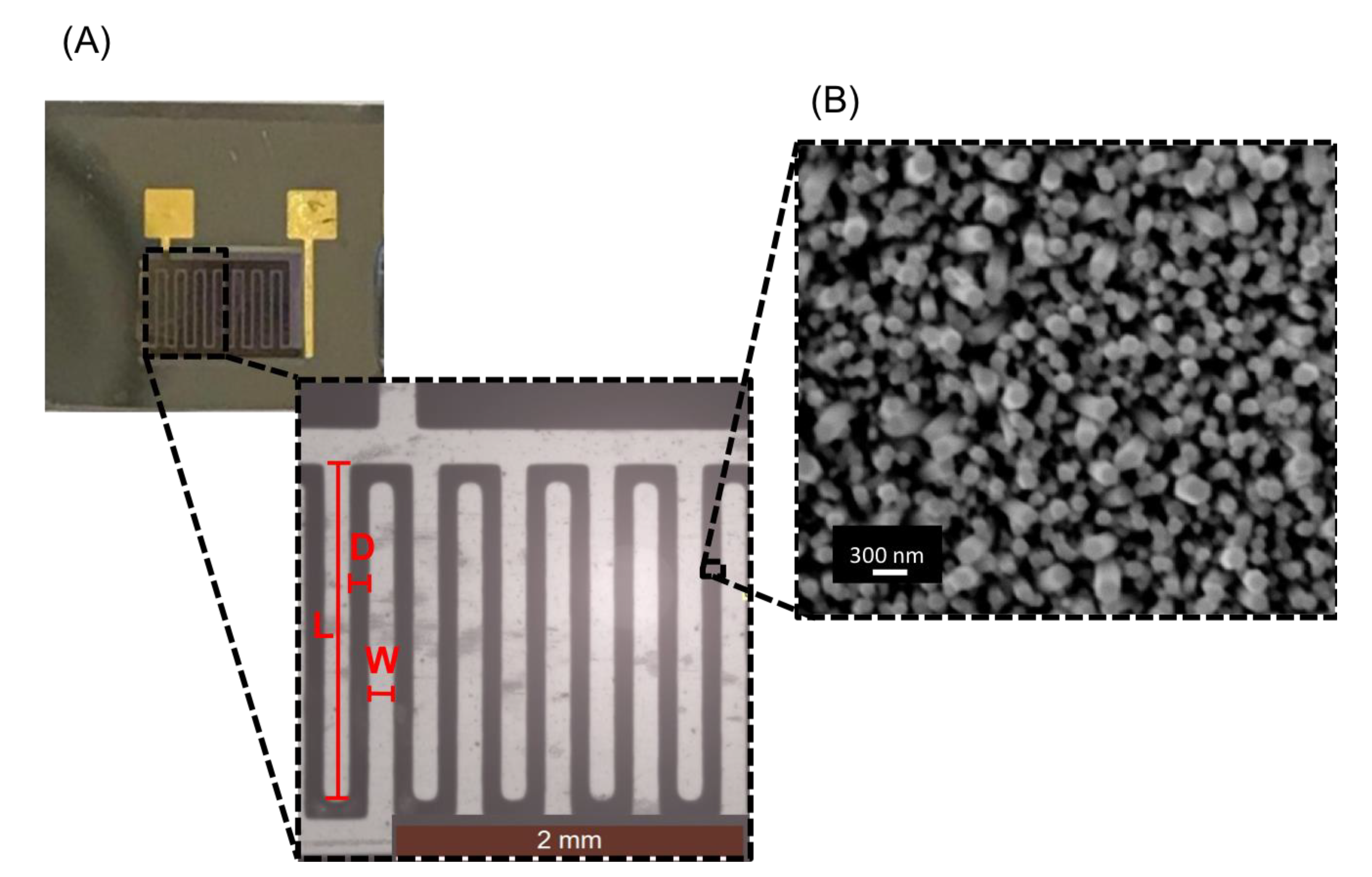 Nanomaterials 11 00523 g003 Nanomaterials 11 00523 g003
