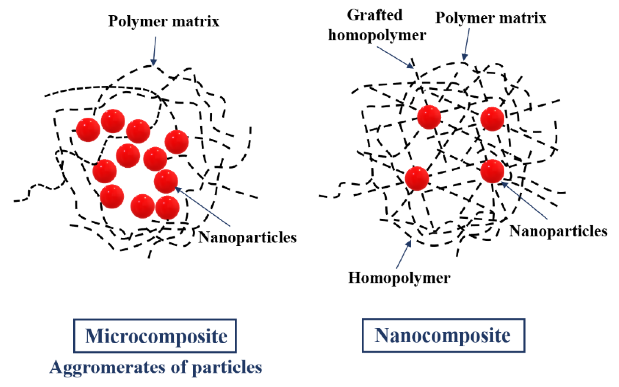 Nanomaterials 11 00538 g002