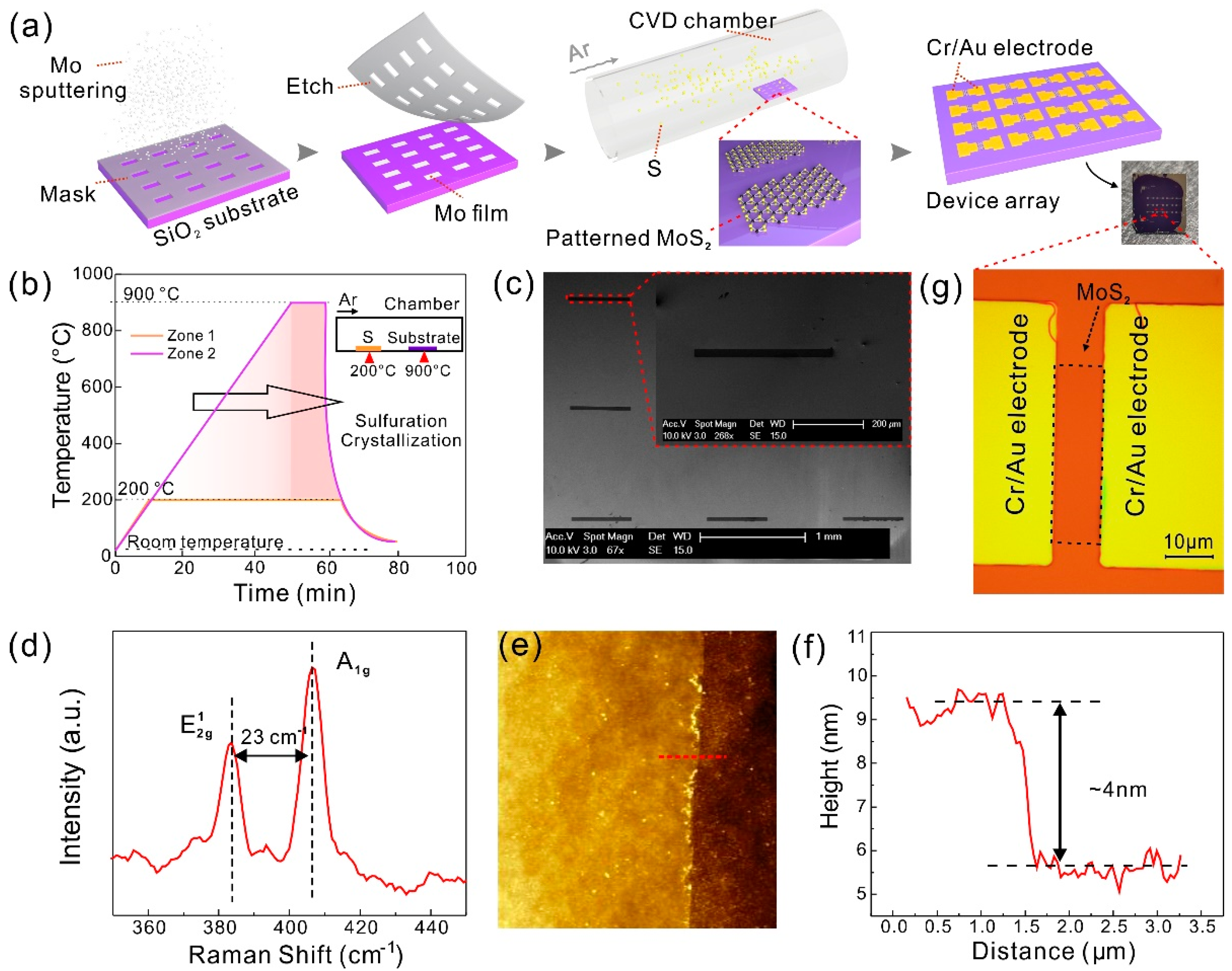Nanomaterials | Free Full-Text | Bio-Separated and Gate-Free 2D MoS2  Biosensor Array for Ultrasensitive Detection of BRCA1 | HTML
