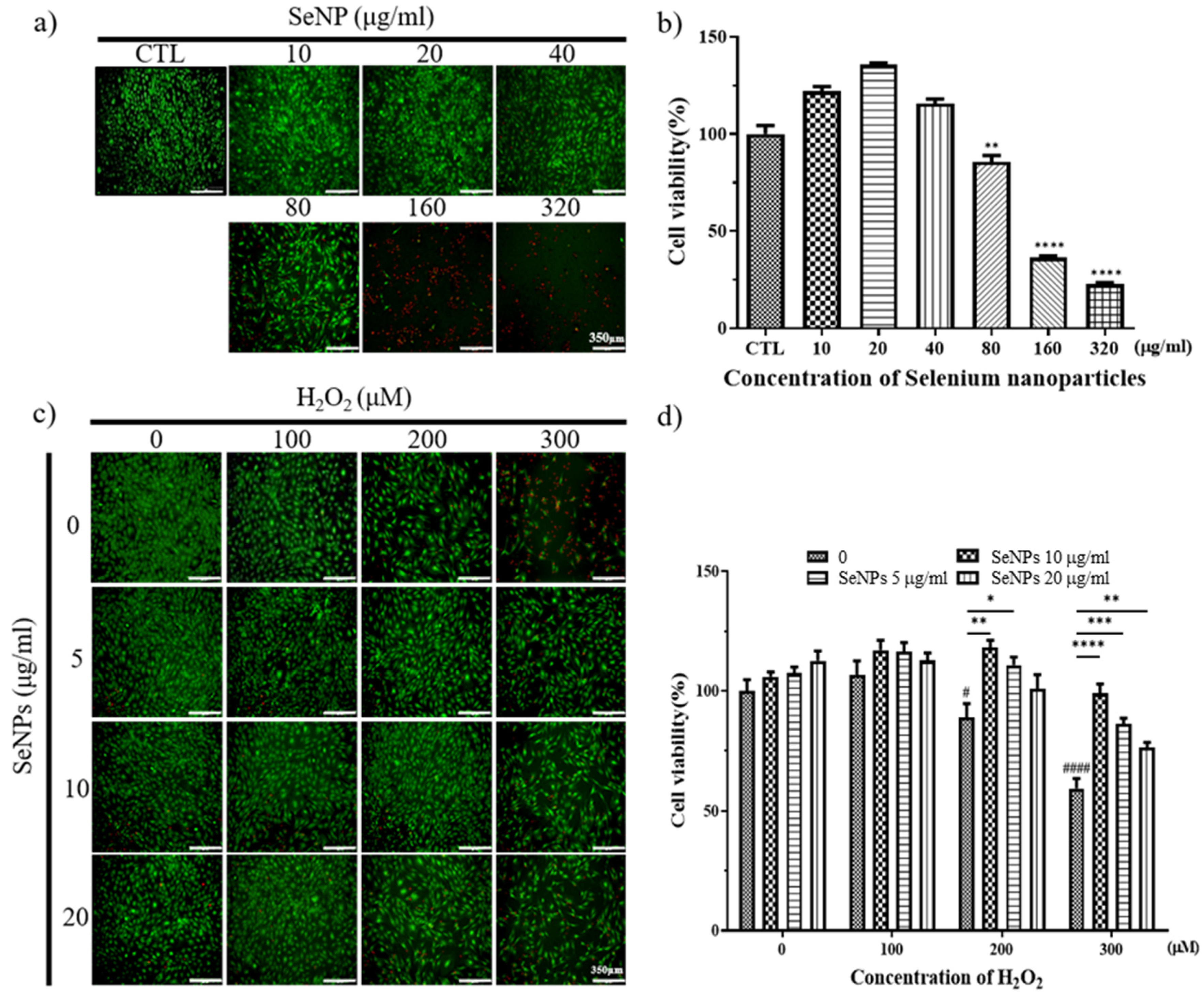 Nanomaterials 11 00557 g003