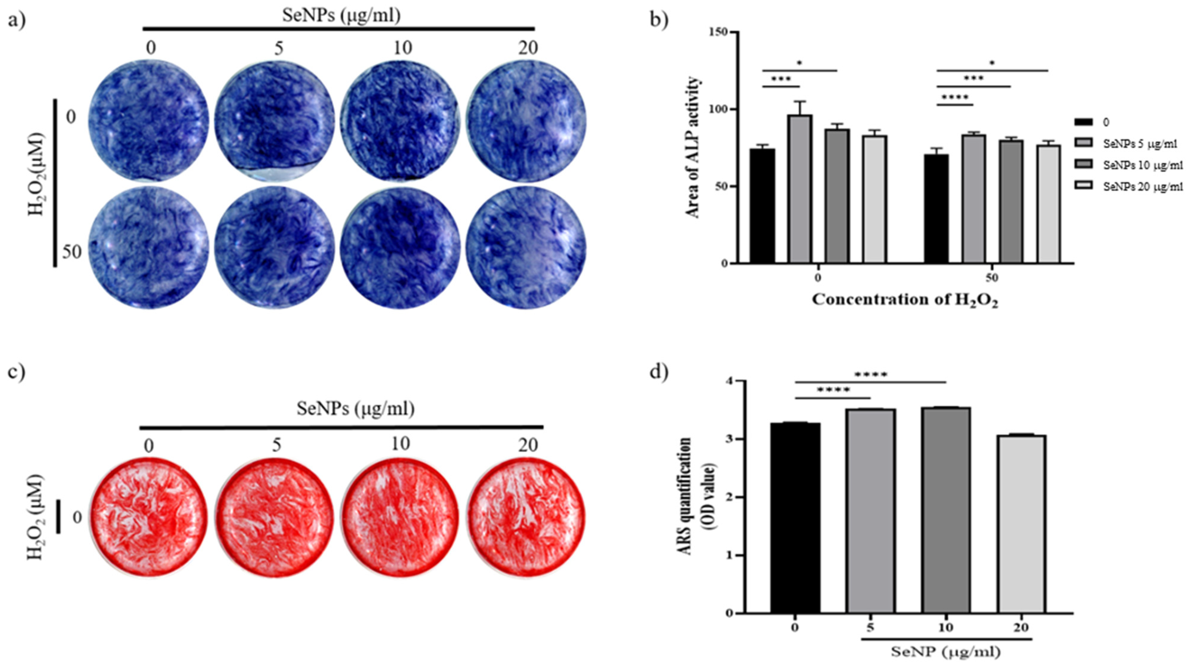 Nanomaterials 11 00557 g006