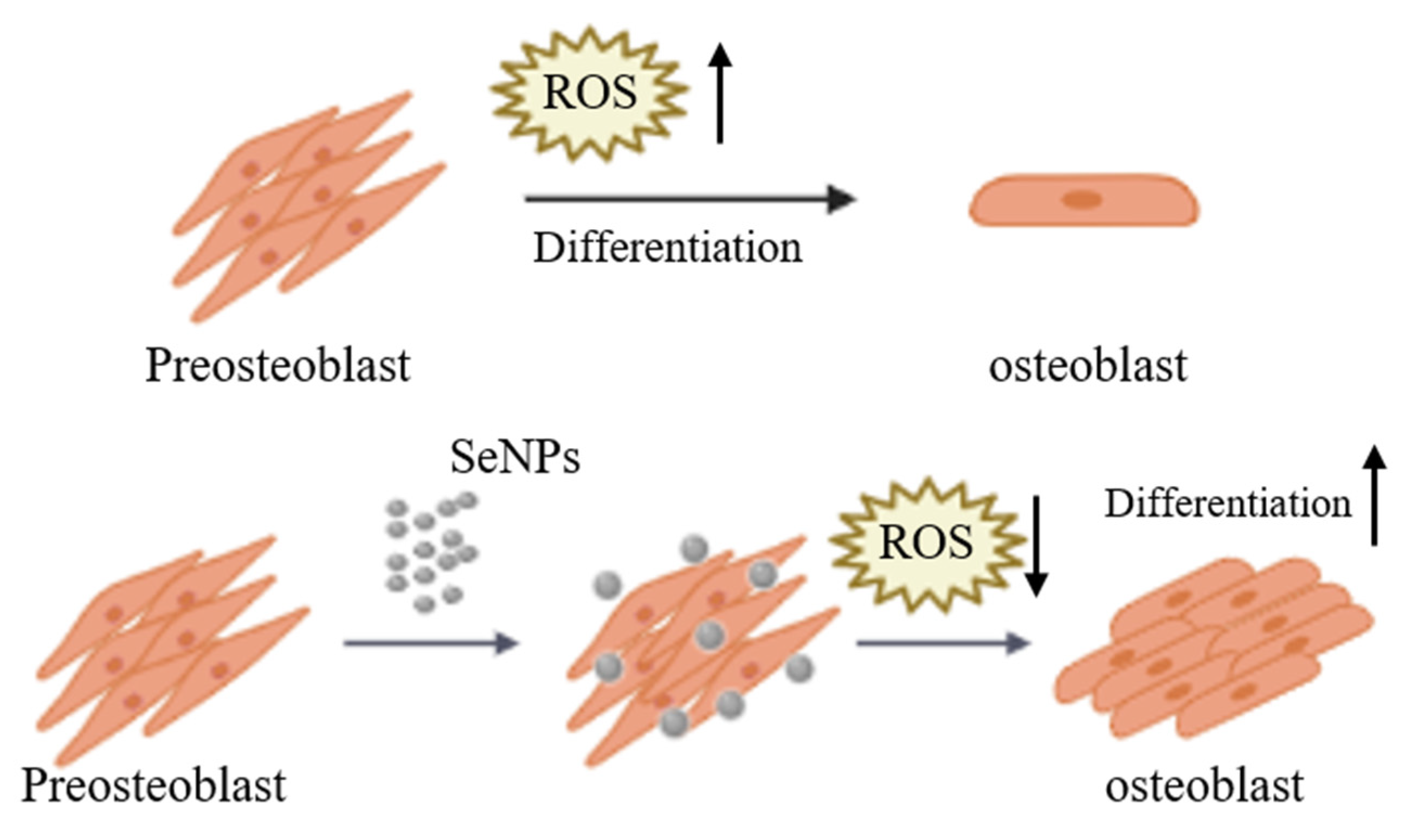 Nanomaterials 11 00557 g007