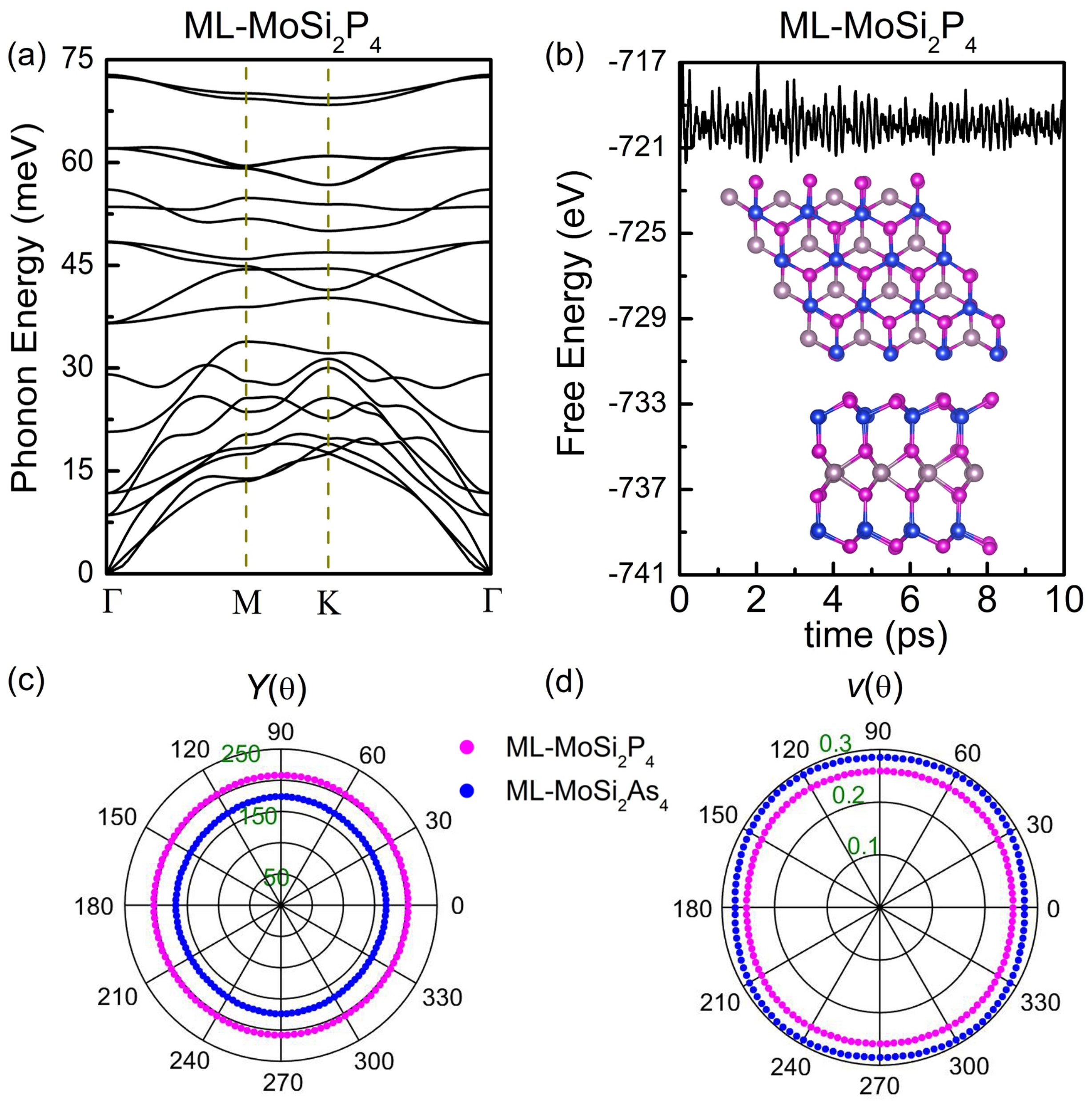 Nanomaterials 11 00559 g002