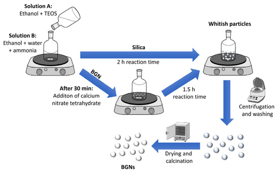 Nanomaterials | Free Full-Text | Protein Adsorption on SiO2-CaO ...