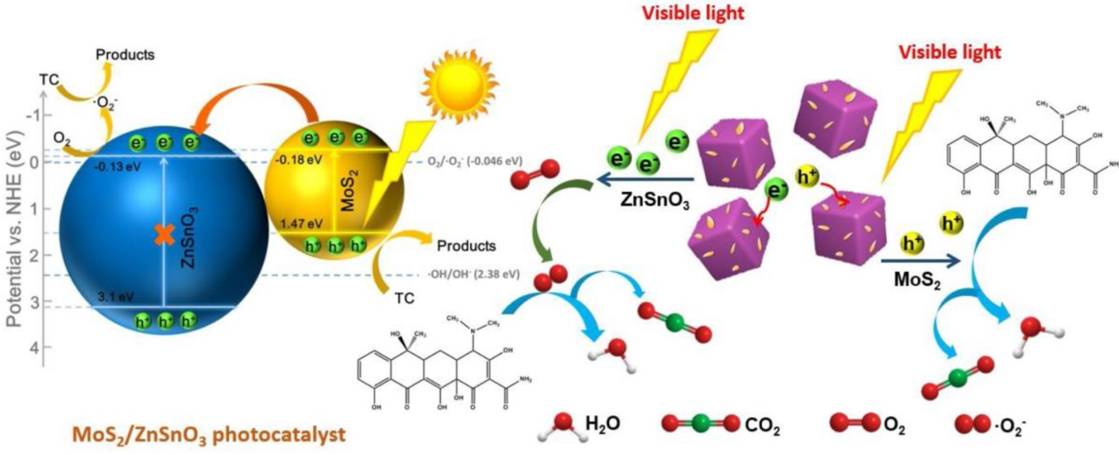 Nanomaterials 11 00572 g011 Nanomaterials 11 00572 g011