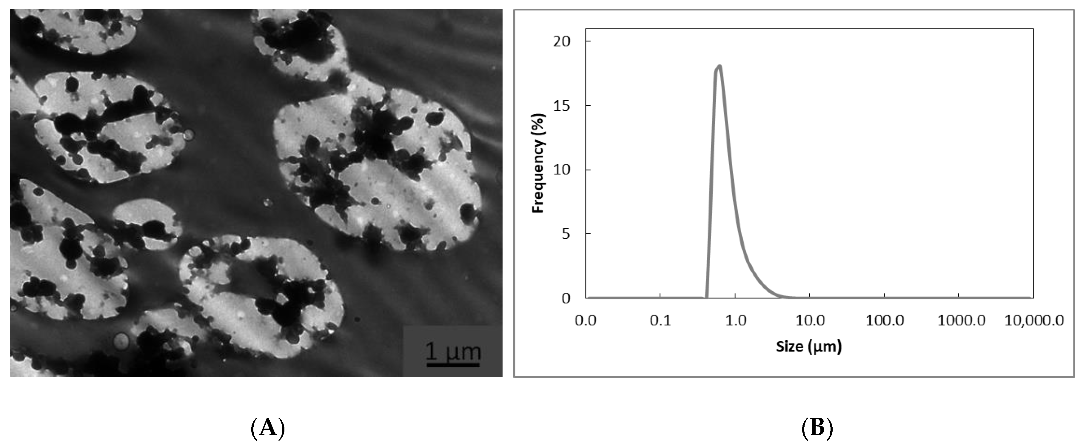 Nanomaterials 11 00575 g002