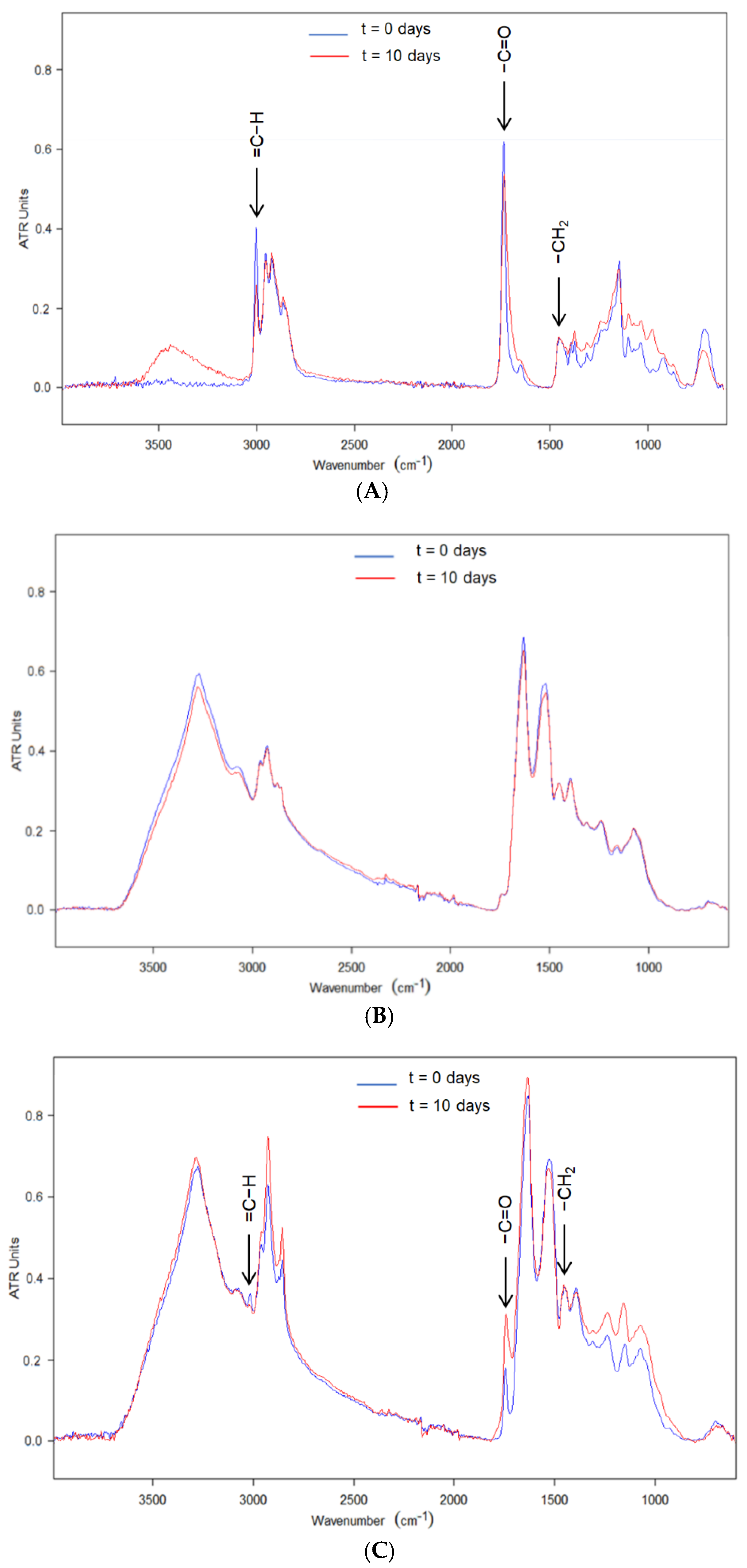 Nanomaterials 11 00575 g004