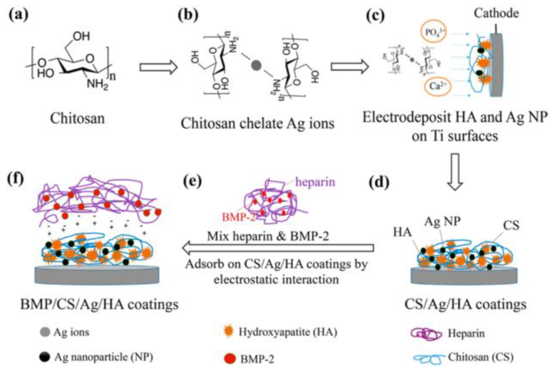 Nanomaterials 11 00581 g012 Nanomaterials 11 00581 g012
