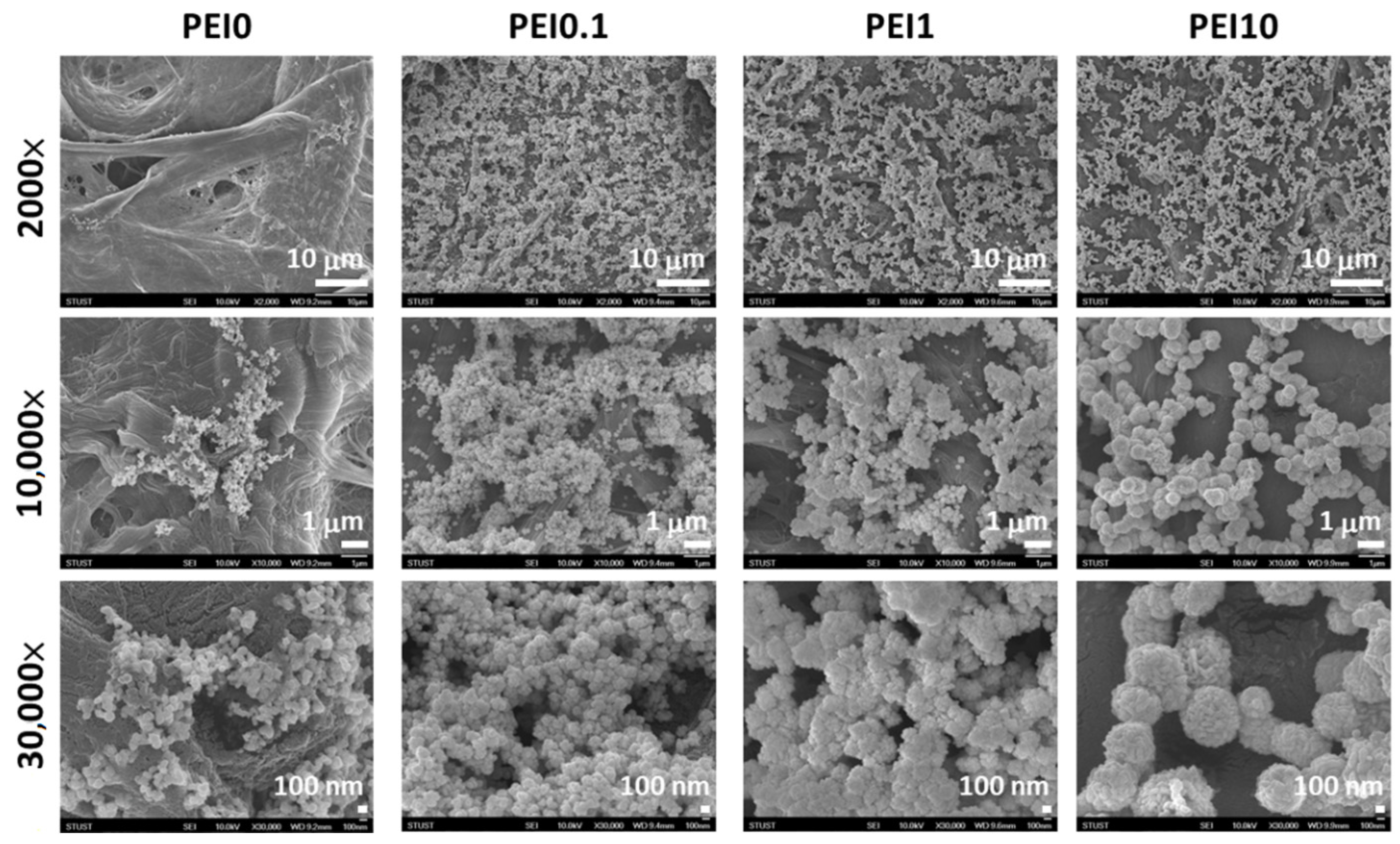 Nanomaterials 11 00595 g002 Nanomaterials 11 00595 g002