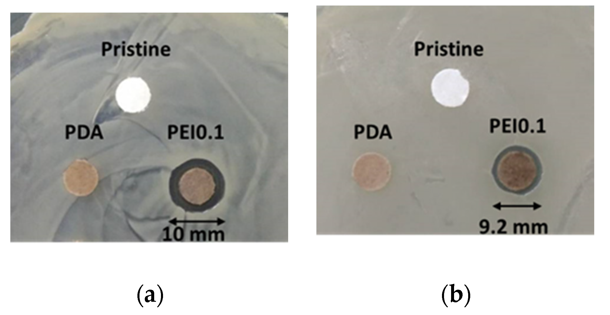 Nanomaterials 11 00595 g005 Nanomaterials 11 00595 g005